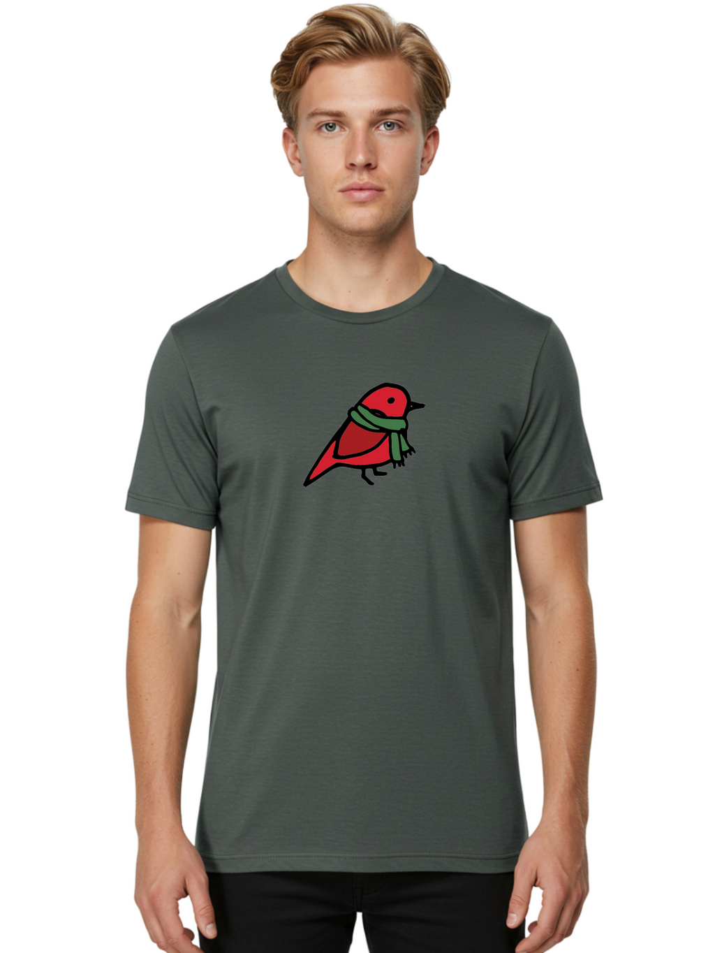 Red-Bird-With-Grey-Scarf Men'S Graphic Tee, 100% Cotton, Comfortable Casual Summer Wear, Machine Washable, Red Bird, Cartoon Style, Green Scarf, Black Outlines, Winter Theme, Festive, Charming, Simple Design, Playful, Cute Aab064