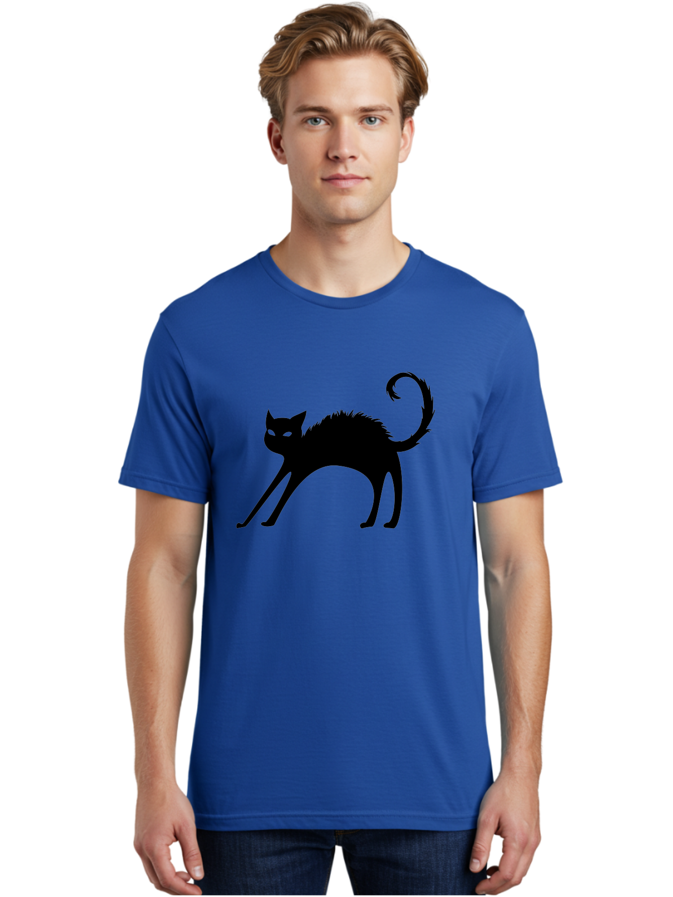 Black-Cat-Silhouette-1 Men'S Graphic Tee, 100% Cotton, Comfortable Casual Summer Wear, Machine Washable, Black Cat Silhouette, Spooky Cat, Halloween Symbol, Mysterious Animal, Glowing Eyes, Feline Silhouette, Mystical Creature, Aab202