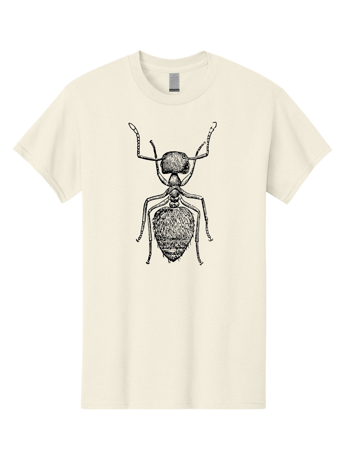 Ant-Illustration Men'S Graphic Tee, 100% Cotton, Comfortable Casual Summer Wear, Machine Washable, Black Ant, Insect Art, Detailed Drawing, Entomology, Bug Illustration, Insect Anatomy, Natural History Aab495