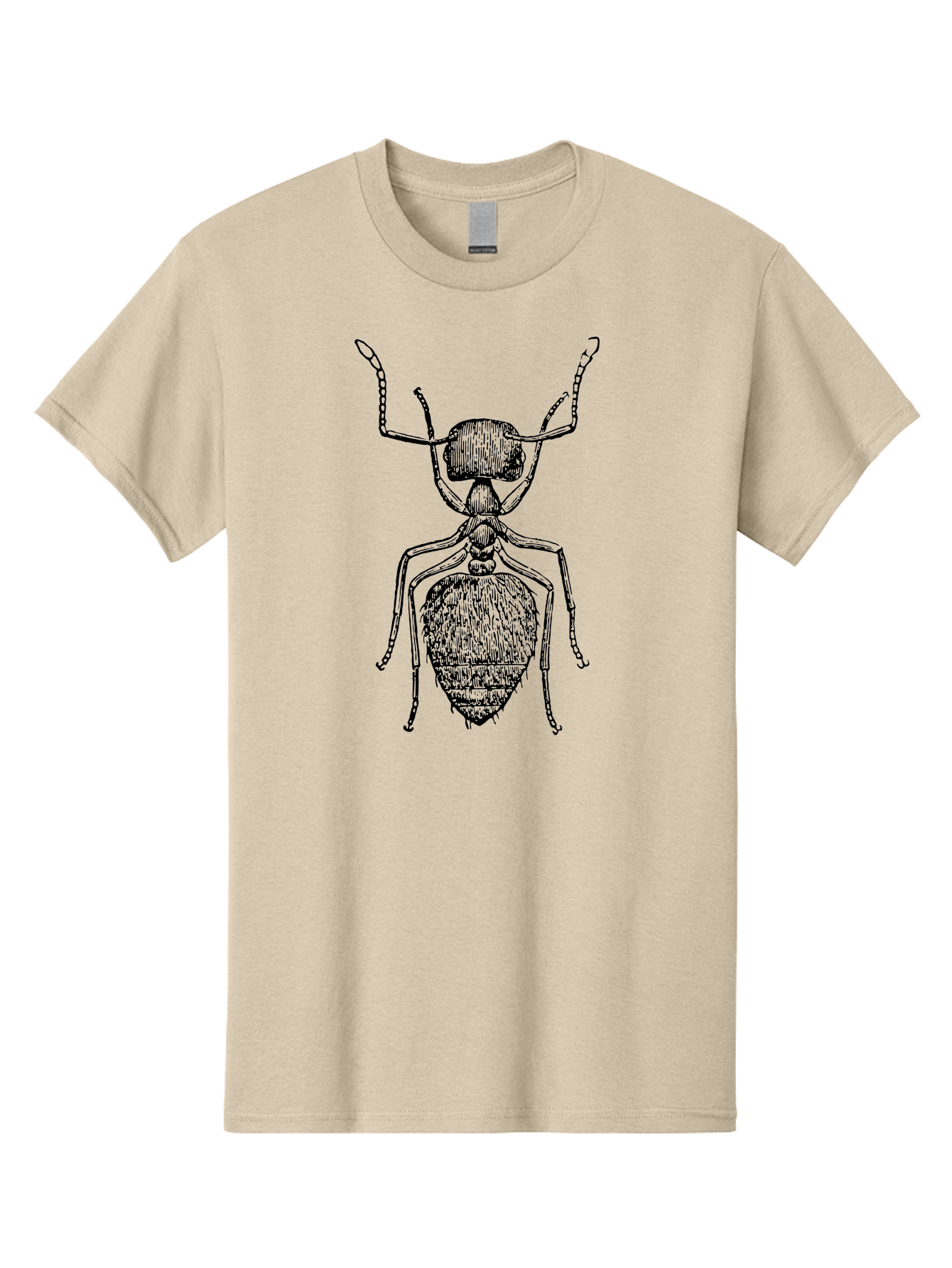 Ant-Illustration Men'S Graphic Tee, 100% Cotton, Comfortable Casual Summer Wear, Machine Washable, Black Ant, Insect Art, Detailed Drawing, Entomology, Bug Illustration, Insect Anatomy, Natural History Aab495
