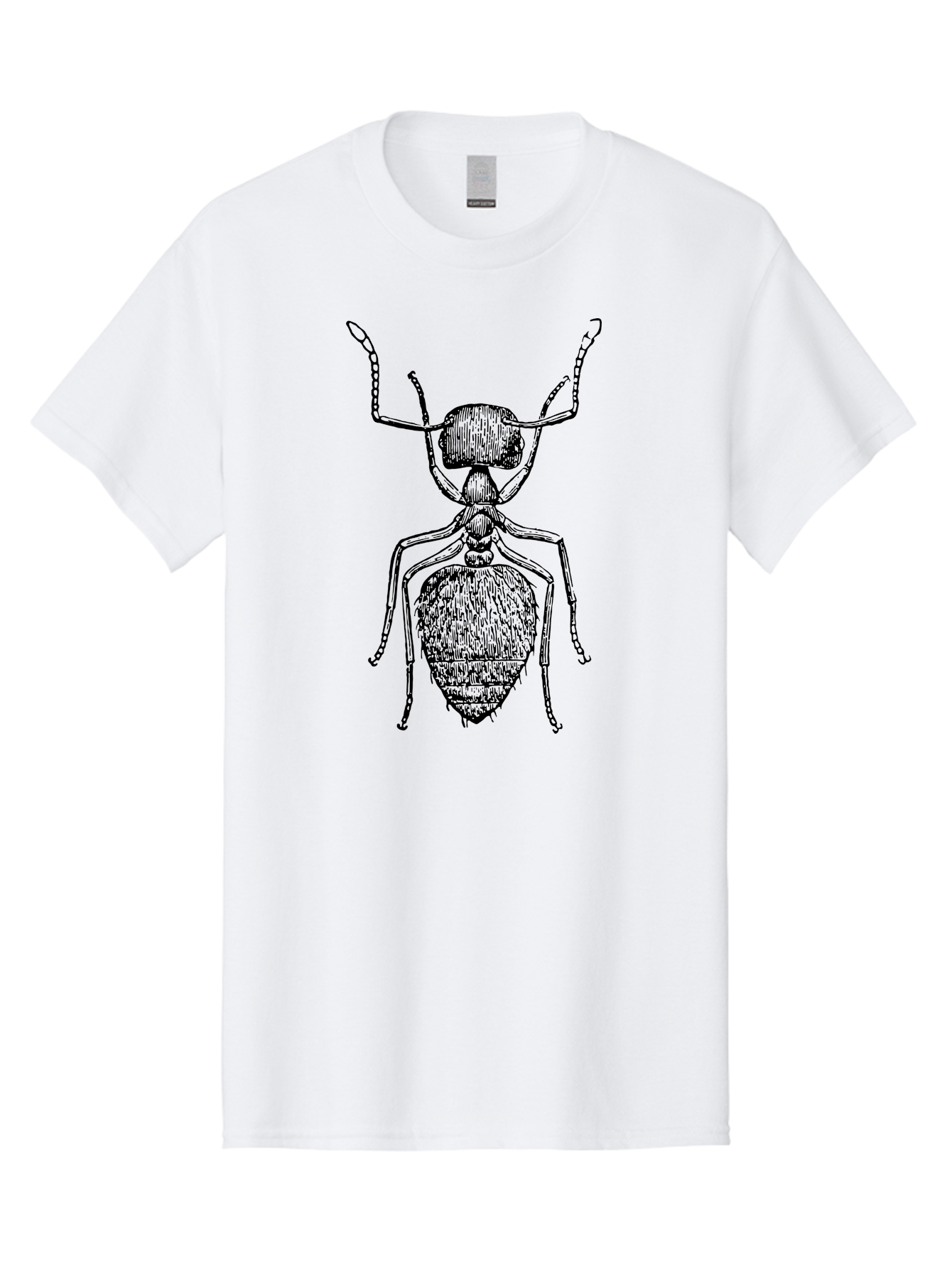 Ant-Illustration Men'S Graphic Tee, 100% Cotton, Comfortable Casual Summer Wear, Machine Washable, Black Ant, Insect Art, Detailed Drawing, Entomology, Bug Illustration, Insect Anatomy, Natural History Aab495