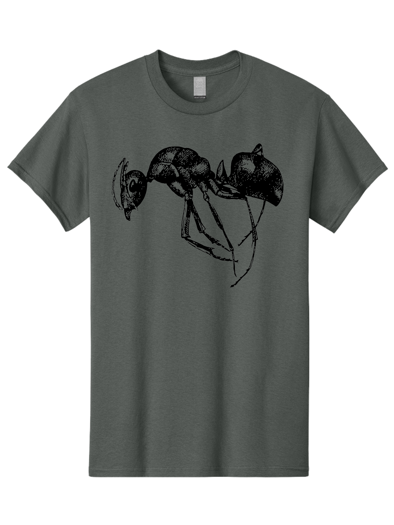 Ant Men'S Graphic Tee, 100% Cotton, Comfortable Casual Summer Wear, Machine Washable, Black Ant, Insect Illustration, Detailed Drawing, Sketch Art, Nature Graphic, Bug Design, Entomology, Wildlife Art Aab496
