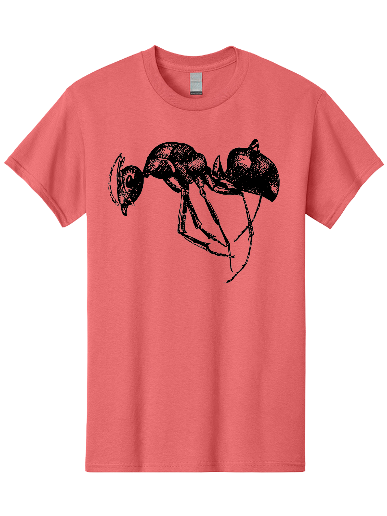 Ant Men'S Graphic Tee, 100% Cotton, Comfortable Casual Summer Wear, Machine Washable, Black Ant, Insect Illustration, Detailed Drawing, Sketch Art, Nature Graphic, Bug Design, Entomology, Wildlife Art Aab496
