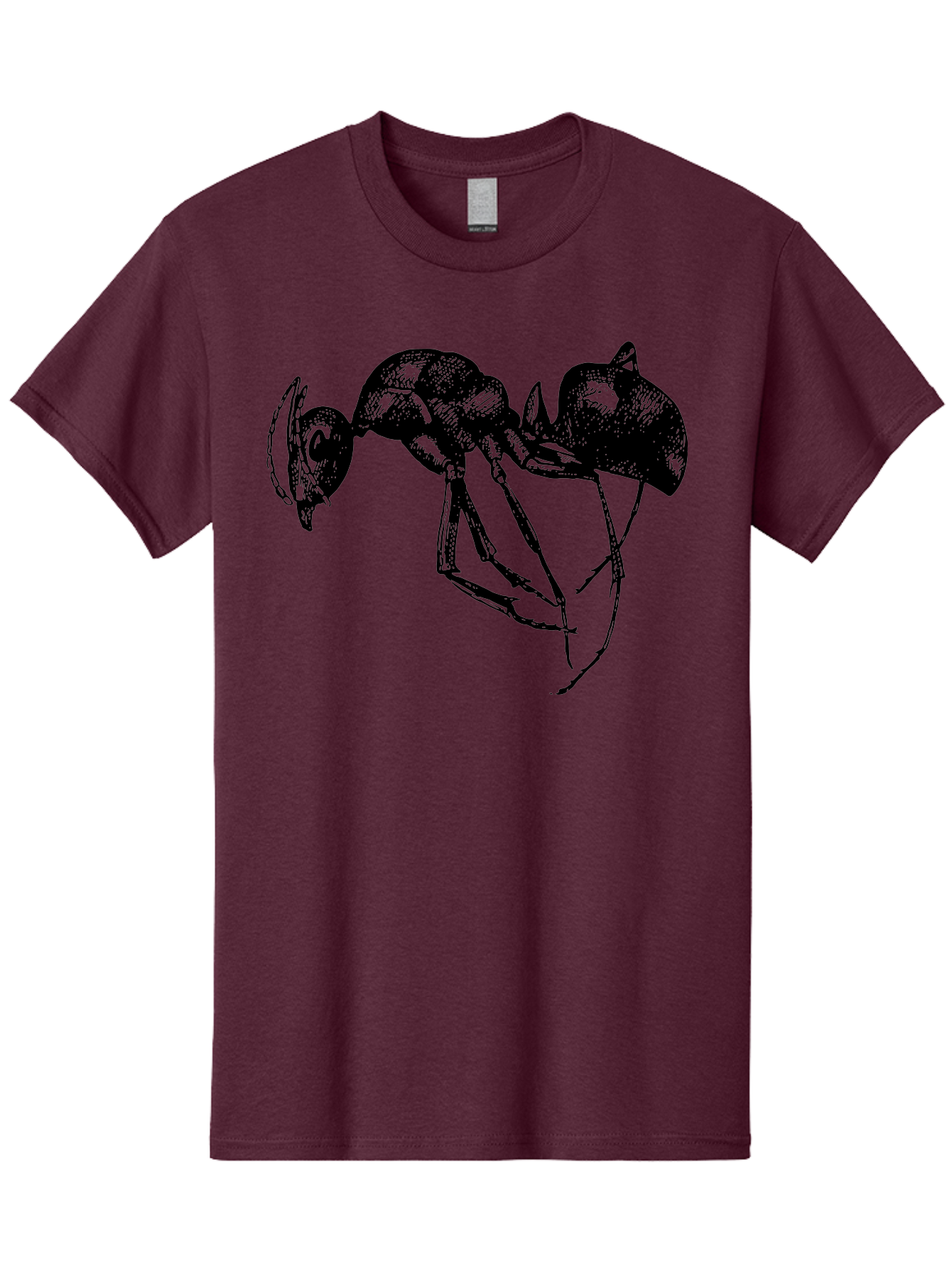Ant Men'S Graphic Tee, 100% Cotton, Comfortable Casual Summer Wear, Machine Washable, Black Ant, Insect Illustration, Detailed Drawing, Sketch Art, Nature Graphic, Bug Design, Entomology, Wildlife Art Aab496