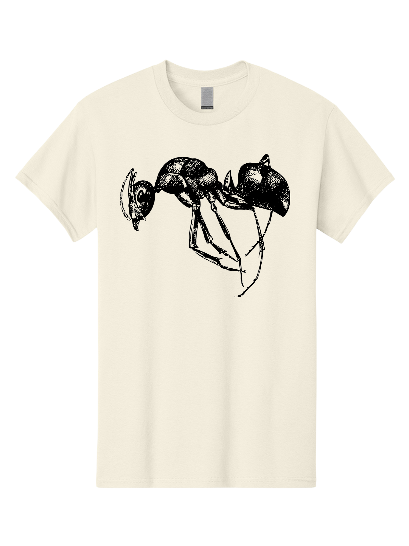 Ant Men'S Graphic Tee, 100% Cotton, Comfortable Casual Summer Wear, Machine Washable, Black Ant, Insect Illustration, Detailed Drawing, Sketch Art, Nature Graphic, Bug Design, Entomology, Wildlife Art Aab496