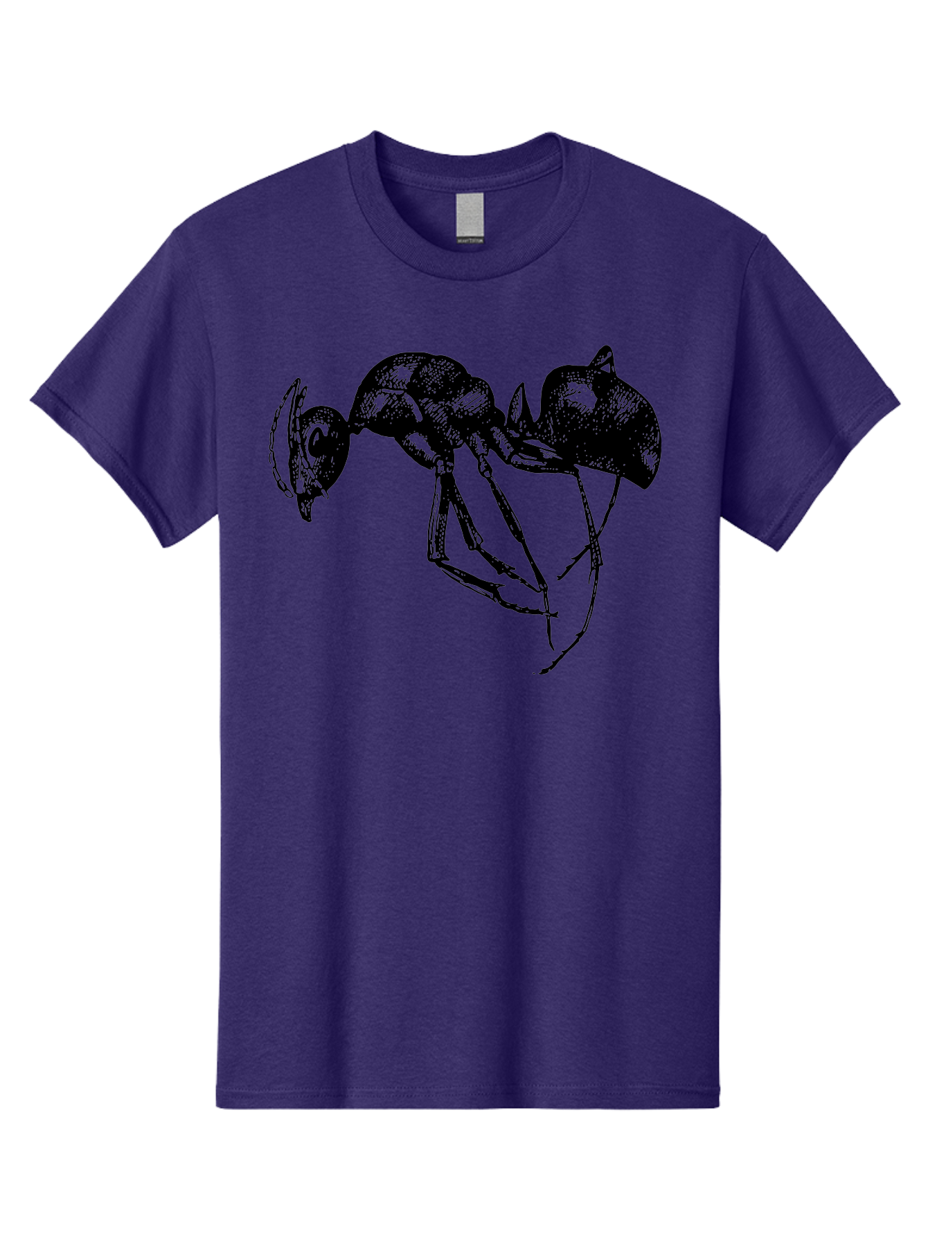 Ant Men'S Graphic Tee, 100% Cotton, Comfortable Casual Summer Wear, Machine Washable, Black Ant, Insect Illustration, Detailed Drawing, Sketch Art, Nature Graphic, Bug Design, Entomology, Wildlife Art Aab496