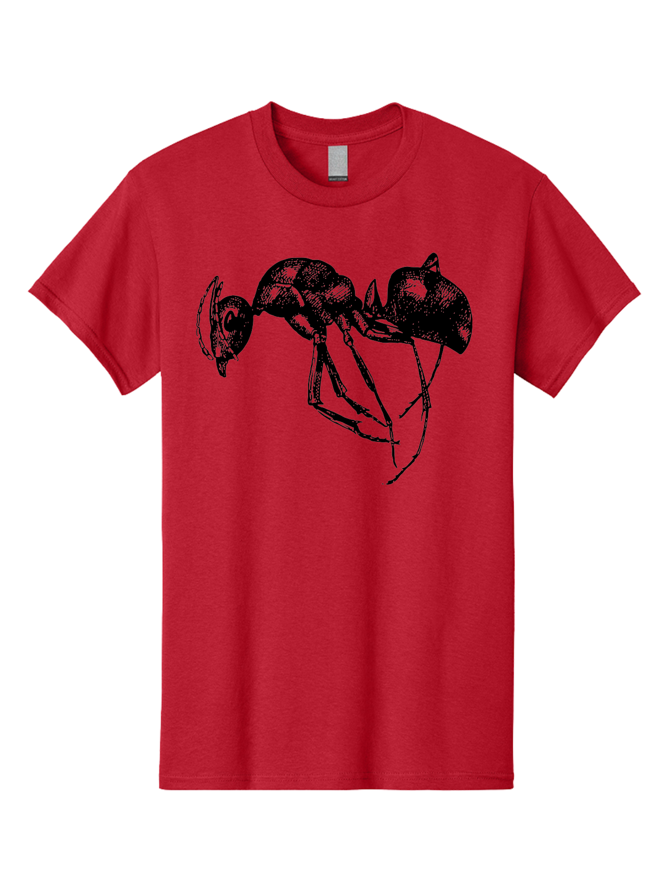 Ant Men'S Graphic Tee, 100% Cotton, Comfortable Casual Summer Wear, Machine Washable, Black Ant, Insect Illustration, Detailed Drawing, Sketch Art, Nature Graphic, Bug Design, Entomology, Wildlife Art Aab496