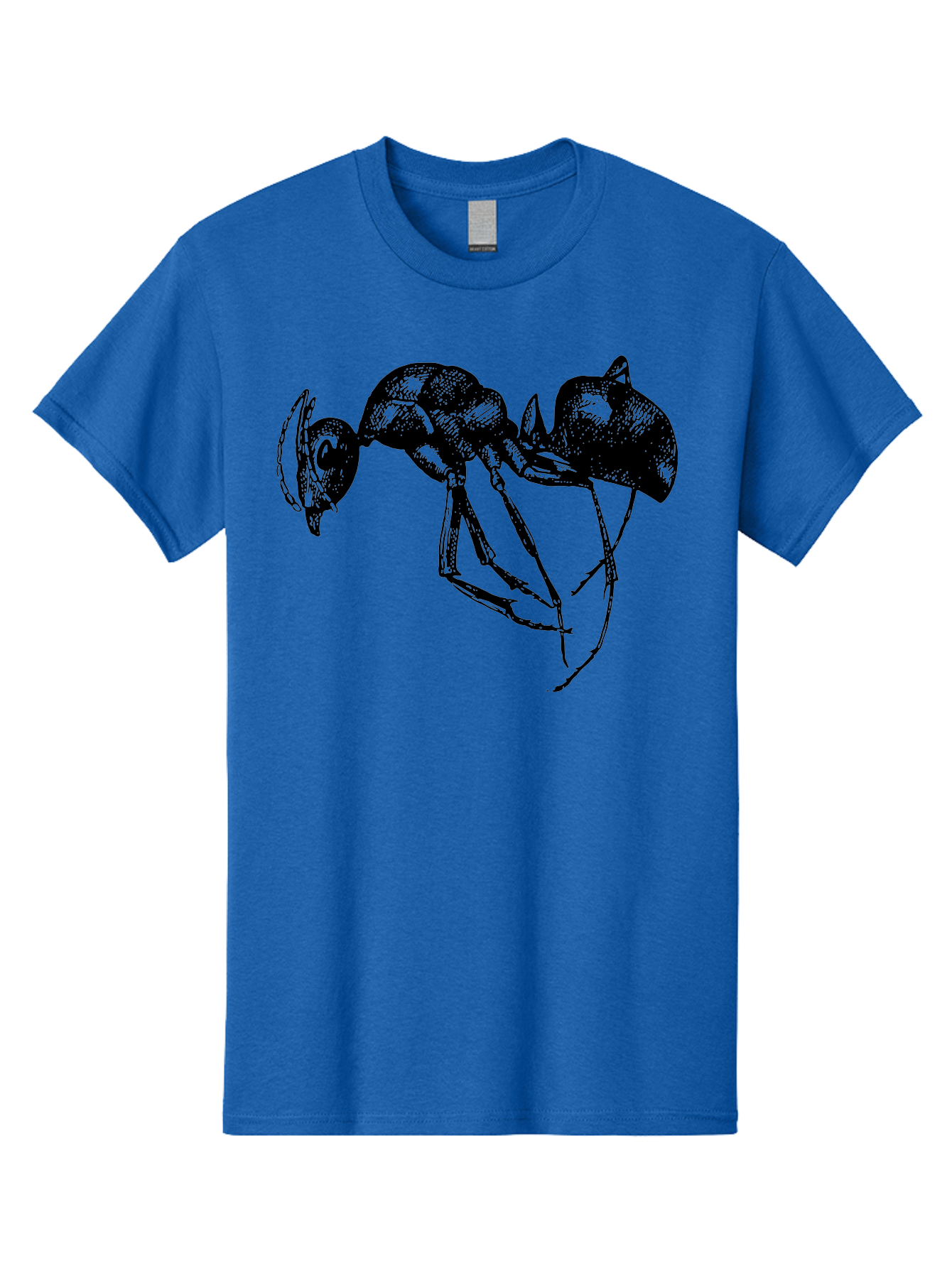 Ant Men'S Graphic Tee, 100% Cotton, Comfortable Casual Summer Wear, Machine Washable, Black Ant, Insect Illustration, Detailed Drawing, Sketch Art, Nature Graphic, Bug Design, Entomology, Wildlife Art Aab496