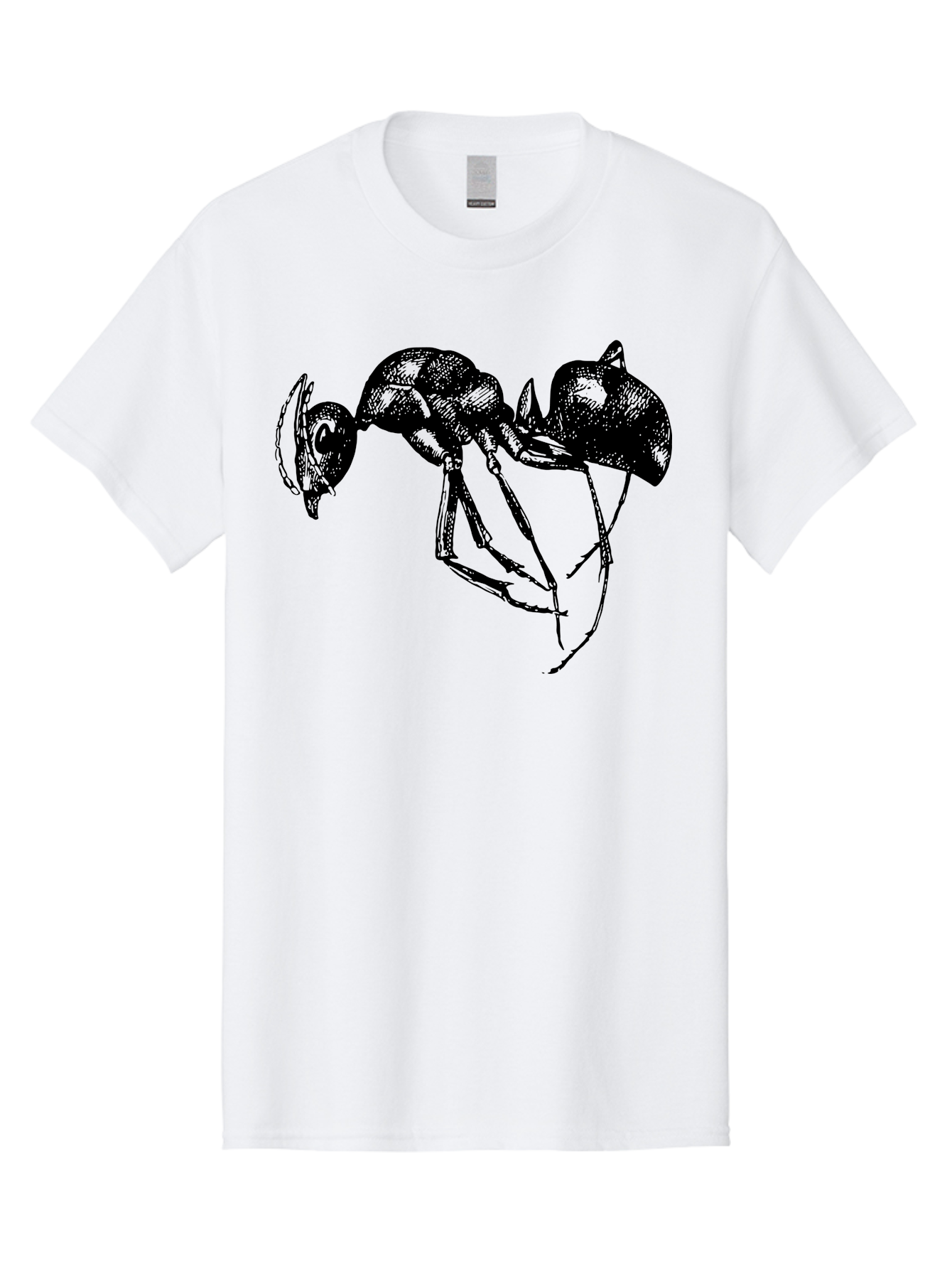 Ant Men'S Graphic Tee, 100% Cotton, Comfortable Casual Summer Wear, Machine Washable, Black Ant, Insect Illustration, Detailed Drawing, Sketch Art, Nature Graphic, Bug Design, Entomology, Wildlife Art Aab496