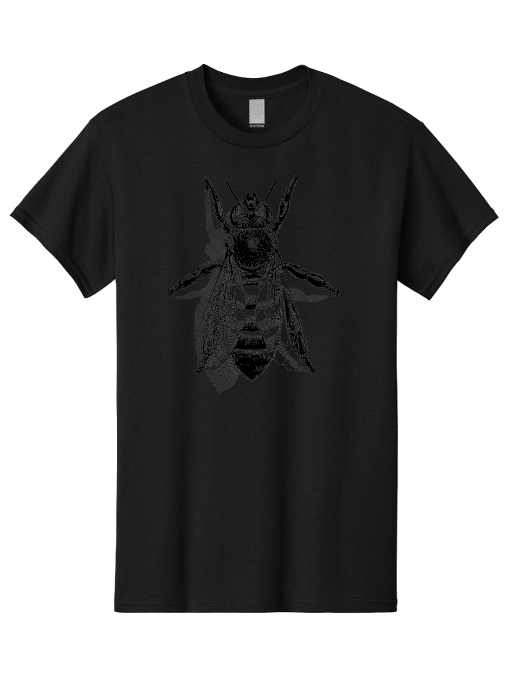 Bee-1 Men'S Graphic Tee, 100% Cotton, Comfortable Casual Summer Wear, Machine Washable, Honey Bee, Insect Anatomy, Detailed Illustration, Black And Green, Bee Species, Entomology Art, Wildlife Graphics, Nature Illustration, Detailed Drawing Aab498
