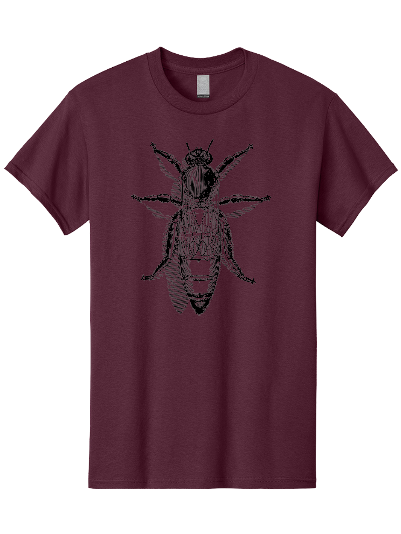 Beetle-Diagram Men'S Graphic Tee, 100% Cotton, Comfortable Casual Summer Wear, Machine Washable, Beetle Diagram, Insect Anatomy, Entomology Illustration, Technical Drawing, Bugs, Insects, Detailed Design, Scientific Artwork, Bug Structure Aab506