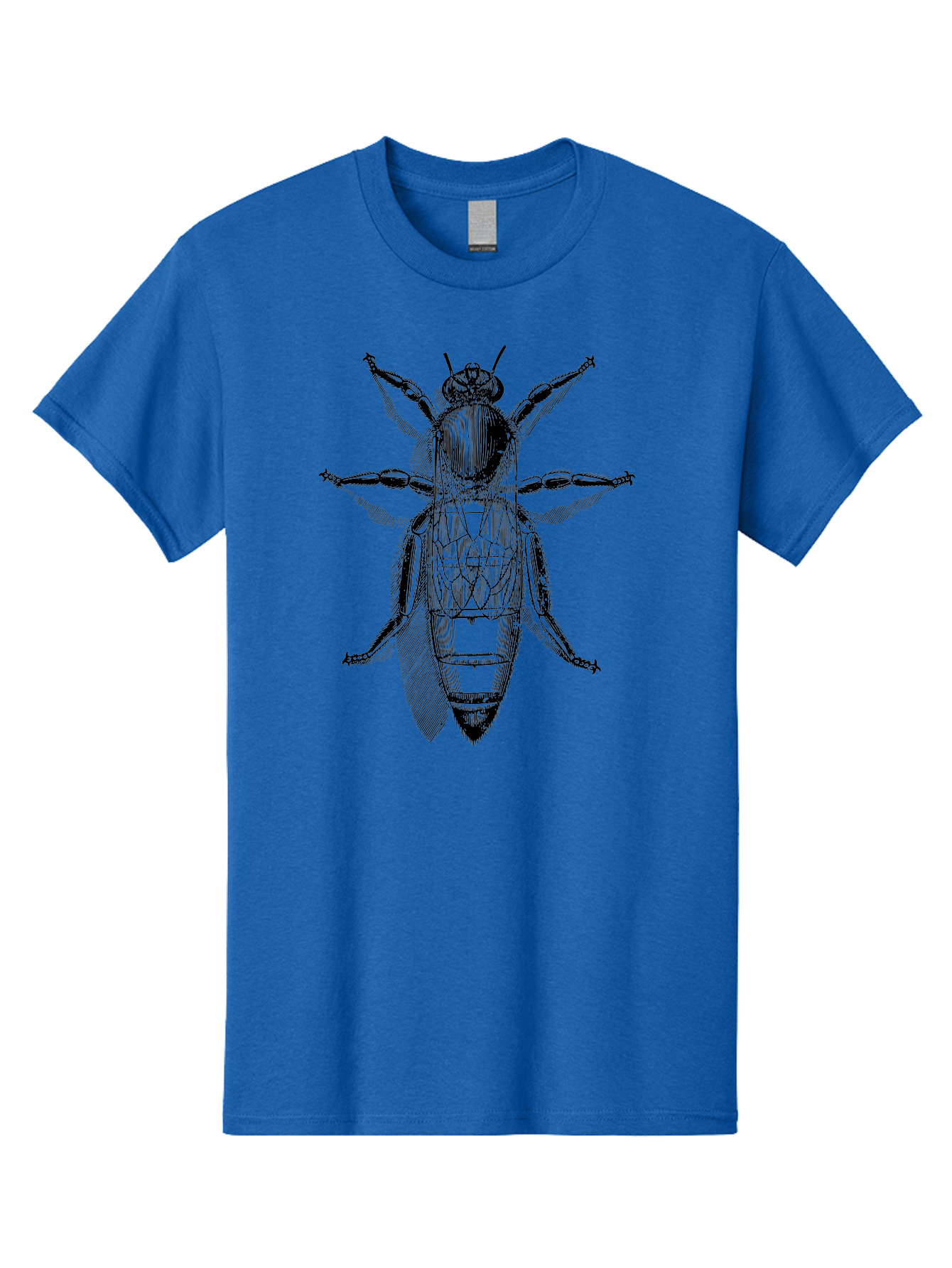 Beetle-Diagram Men'S Graphic Tee, 100% Cotton, Comfortable Casual Summer Wear, Machine Washable, Beetle Diagram, Insect Anatomy, Entomology Illustration, Technical Drawing, Bugs, Insects, Detailed Design, Scientific Artwork, Bug Structure Aab506