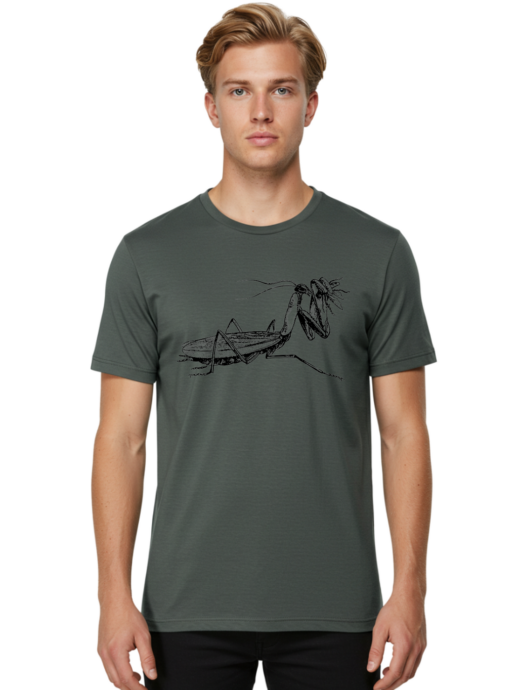 Mantis-Eating-Fly Men'S Graphic Tee, 100% Cotton, Comfortable Casual Summer Wear, Machine Washable, Praying Mantis Eating A Fly, Insect Predator, Detailed Illustration, Black And Green, Entomology Art, Wildlife Photography, Insect Behavior Aab544