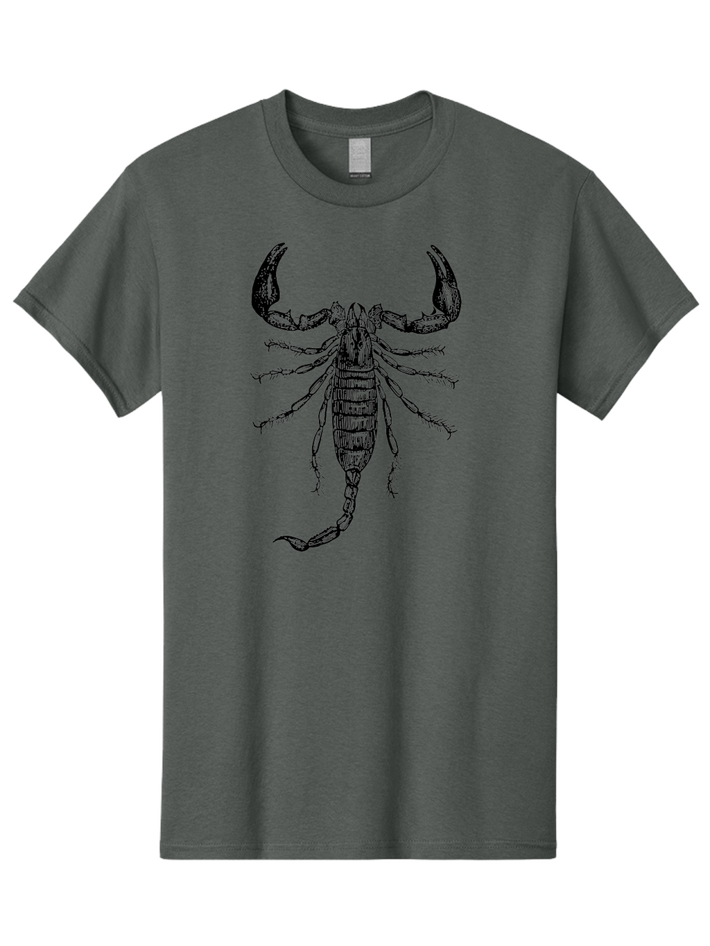 Scorpion-Illustration Men'S Graphic Tee, 100% Cotton, Comfortable Casual Summer Wear, Machine Washable, Scorpion Illustration, Arachnid Art, Creepy Crawlers, Venomous Creature, Detailed Drawing, Scorpion Anatomy, Dark Art, Gothic Design, Aab550
