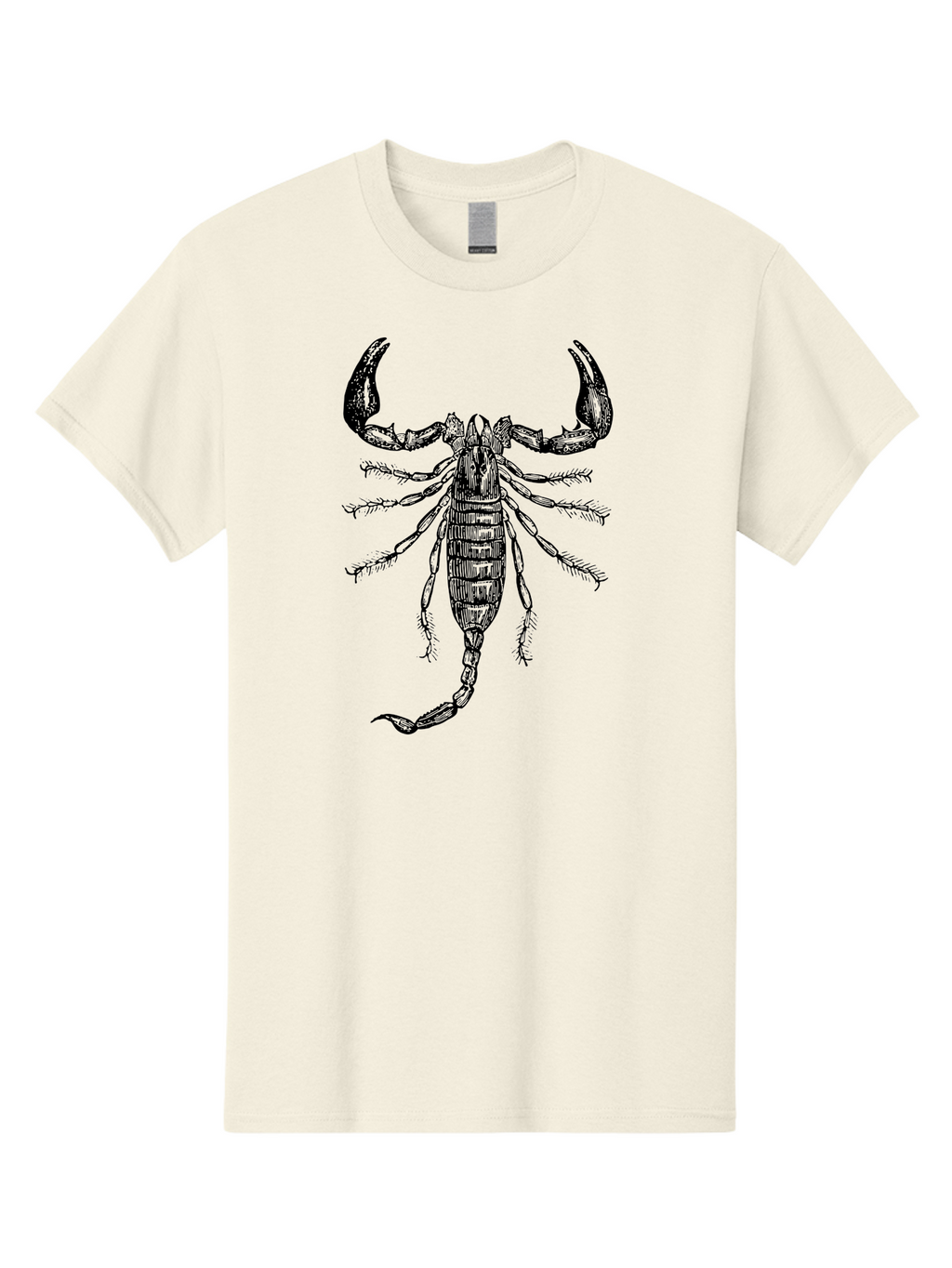 Scorpion-Illustration Men'S Graphic Tee, 100% Cotton, Comfortable Casual Summer Wear, Machine Washable, Scorpion Illustration, Arachnid Art, Creepy Crawlers, Venomous Creature, Detailed Drawing, Scorpion Anatomy, Dark Art, Gothic Design, Aab550