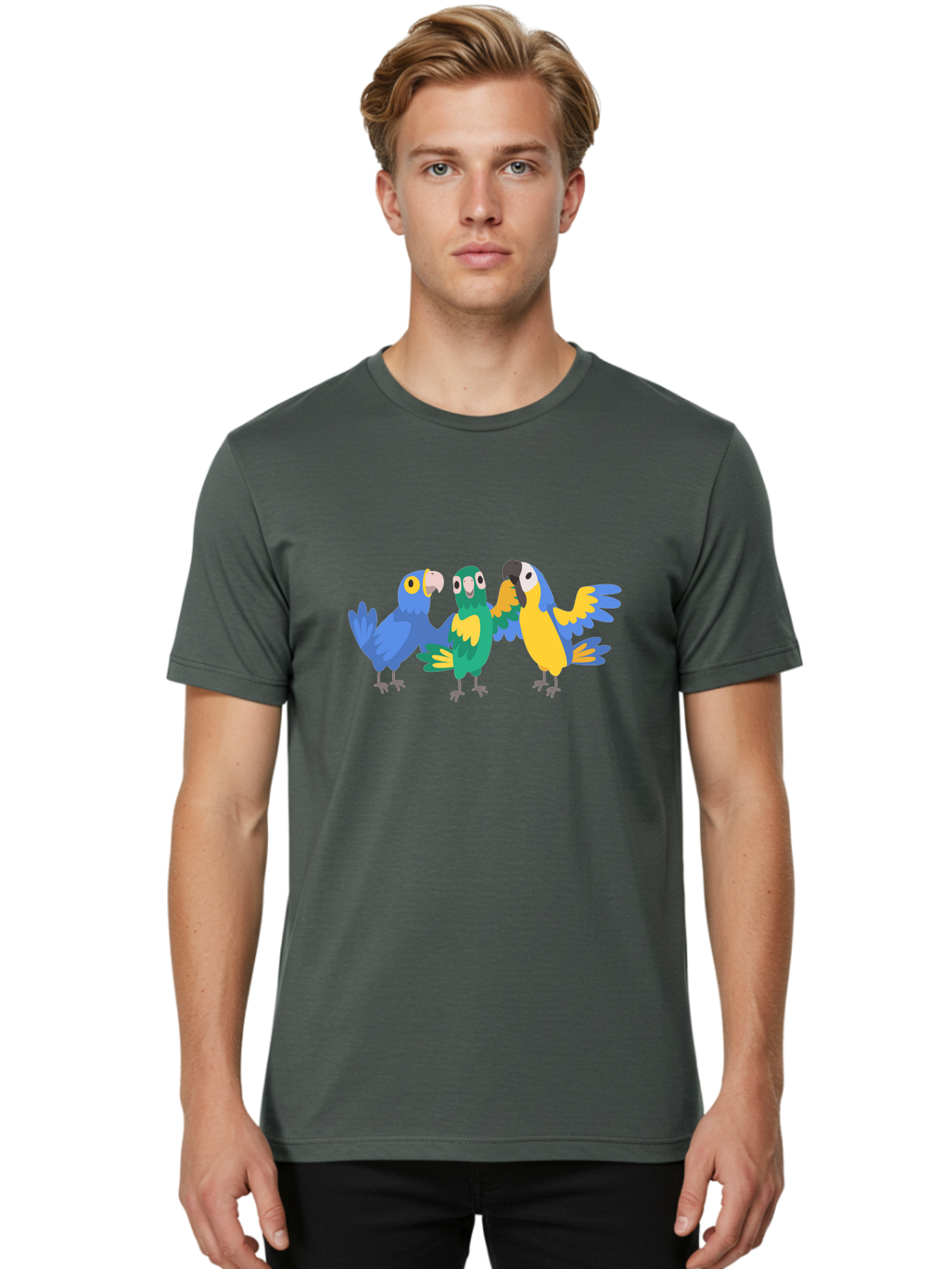 Three-Parrots Men'S Graphic Tee, 100% Cotton, Comfortable Casual Summer Wear, Machine Washable, Colorful Parrots, Vibrant Blue And Yellow Feathers, Playful Birds, Parrot Friends, Tropical Birds, Bird Illustrations, Cartoon Parrots, Aab894