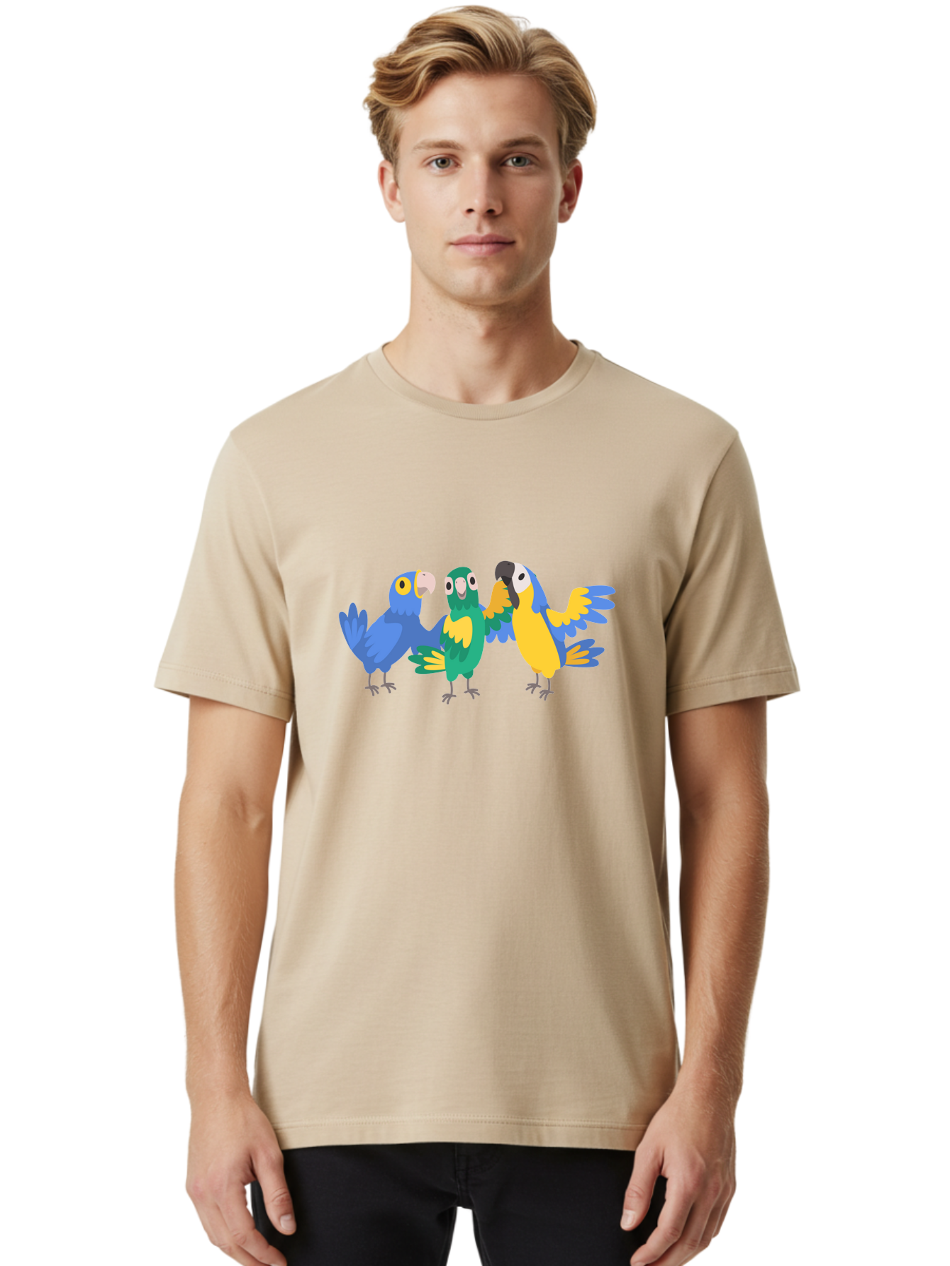 Three-Parrots Men'S Graphic Tee, 100% Cotton, Comfortable Casual Summer Wear, Machine Washable, Colorful Parrots, Vibrant Blue And Yellow Feathers, Playful Birds, Parrot Friends, Tropical Birds, Bird Illustrations, Cartoon Parrots, Aab894