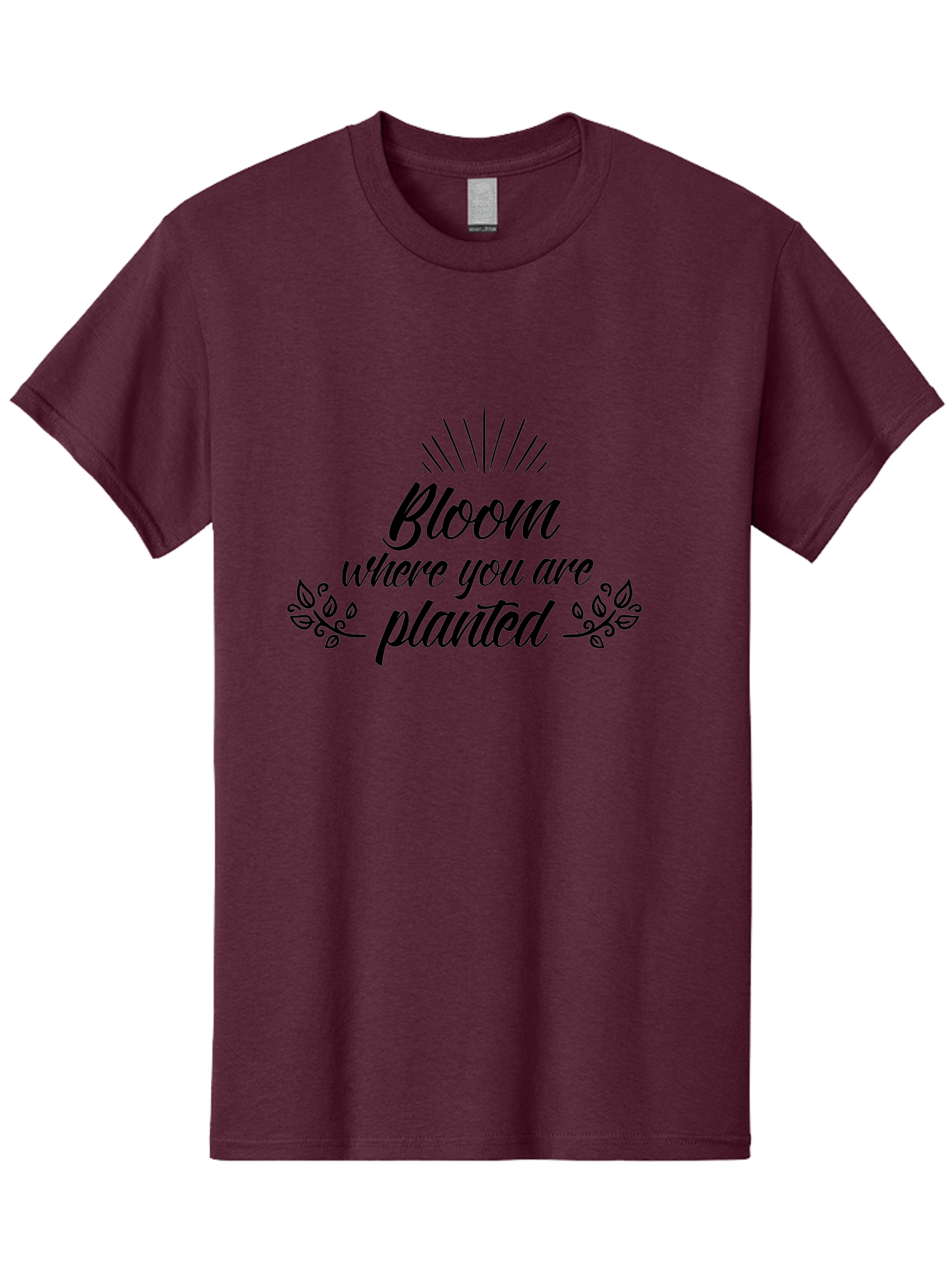 Bloom-Where-You-Are-Planted Men'S Graphic Tee, 100% Cotton, Comfortable Casual Summer Wear, Machine Washable, Inspirational Quote, Motivational Phrase, Blooming Flowers, Growth Mindset, Positive Vibes, Floral Design, Typography Art, Aac532