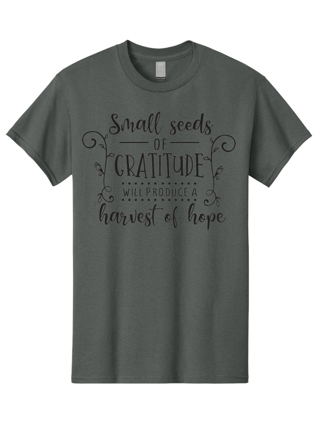Small-Seeds-Of-Gratitude Men'S Graphic Tee, 100% Cotton, Comfortable Casual Summer Wear, Machine Washable, Gratitude Quotes, Hope And Positivity, Inspirational Sayings, Motivational Phrases, Positive Affirmations, Uplifting Messages, Aad166