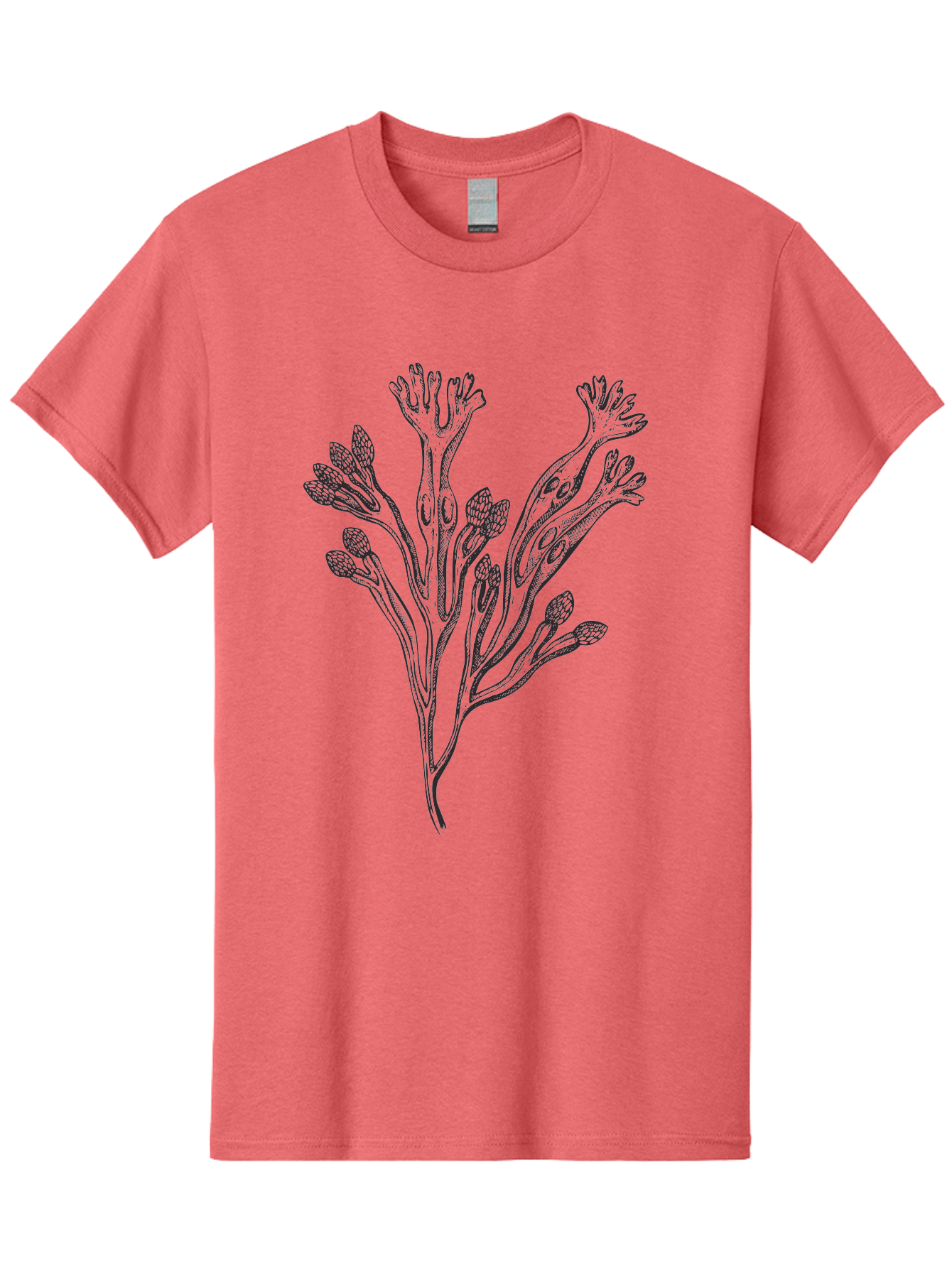 Black-Algae-Illustration Men'S Graphic Tee, 100% Cotton, Comfortable Casual Summer Wear, Machine Washable, Botanical Illustration, Black Ink Drawing, Floral Design, Abstract Plant, Unique Foliage, Intricate Details, Simple Yet Elegant, Aad673