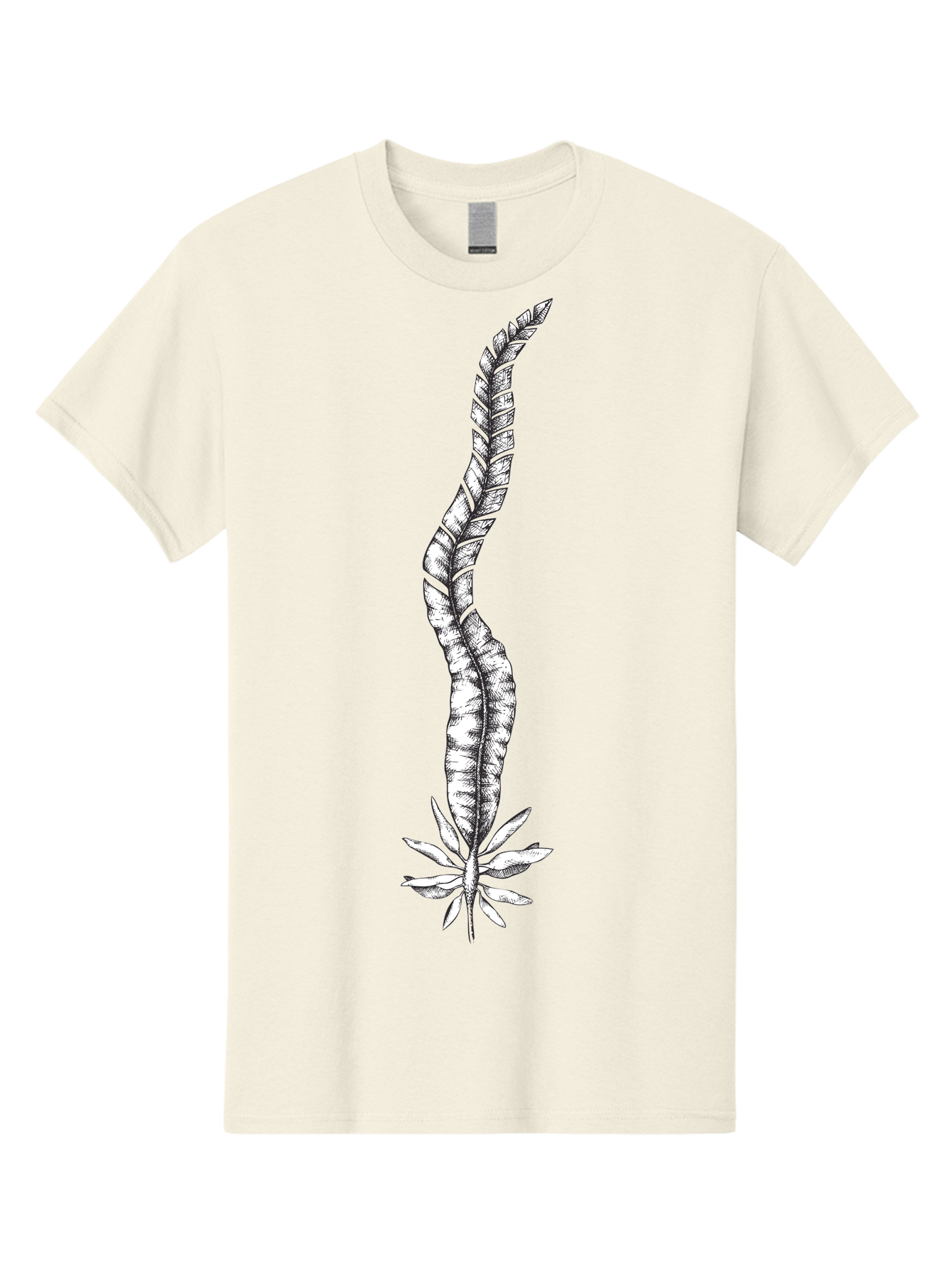 Cannabis Men'S Graphic Tee, 100% Cotton, Comfortable Casual Summer Wear, Machine Washable, Black And White Feather, Feather Illustration, Stylized Design, Abstract Art, Minimalist Style, Detailed Drawing, Graphic Design, Feathers Aad681