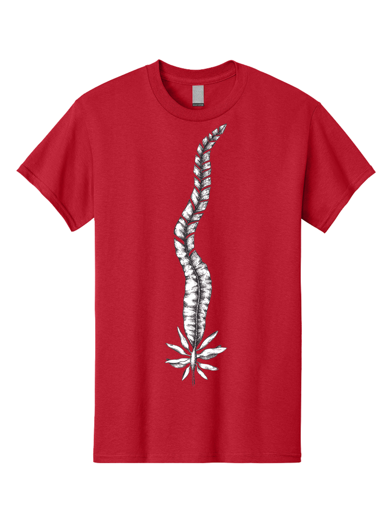 Cannabis Men'S Graphic Tee, 100% Cotton, Comfortable Casual Summer Wear, Machine Washable, Black And White Feather, Feather Illustration, Stylized Design, Abstract Art, Minimalist Style, Detailed Drawing, Graphic Design, Feathers Aad681