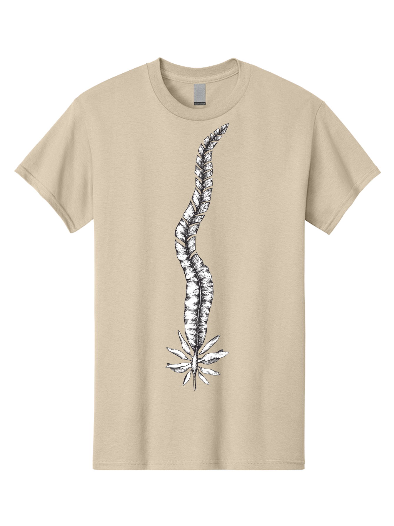 Cannabis Men'S Graphic Tee, 100% Cotton, Comfortable Casual Summer Wear, Machine Washable, Black And White Feather, Feather Illustration, Stylized Design, Abstract Art, Minimalist Style, Detailed Drawing, Graphic Design, Feathers Aad681