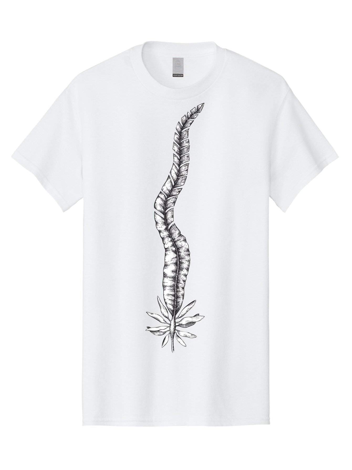 Cannabis Men'S Graphic Tee, 100% Cotton, Comfortable Casual Summer Wear, Machine Washable, Black And White Feather, Feather Illustration, Stylized Design, Abstract Art, Minimalist Style, Detailed Drawing, Graphic Design, Feathers Aad681
