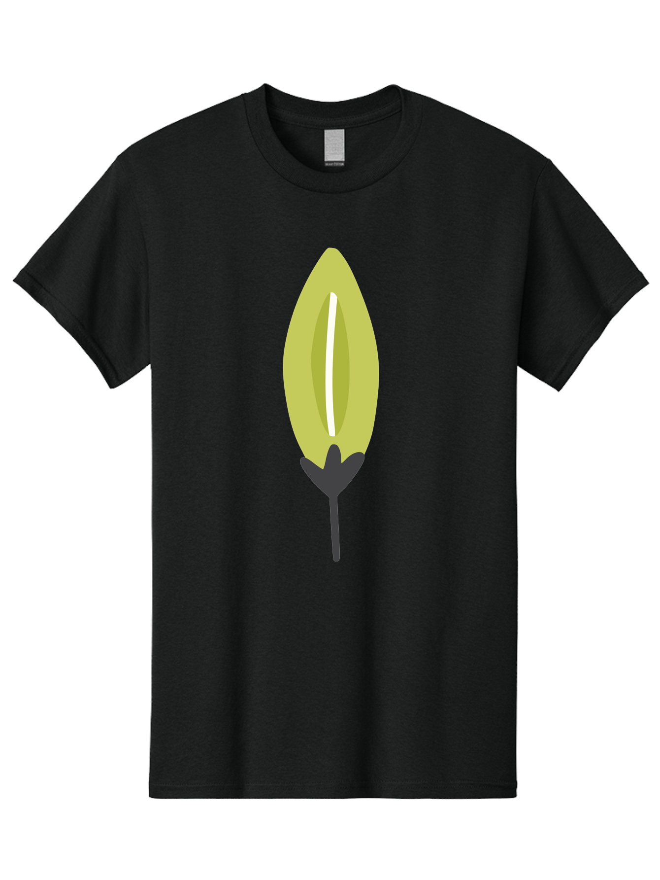 Cocoa-Pod Men'S Graphic Tee, 100% Cotton, Comfortable Casual Summer Wear, Machine Washable, Cocoa Pod, Chocolate, Digital Illustration, Simple Design, Botanical Art, Seed Pod, Vector Graphic, Minimalist Style Aad683