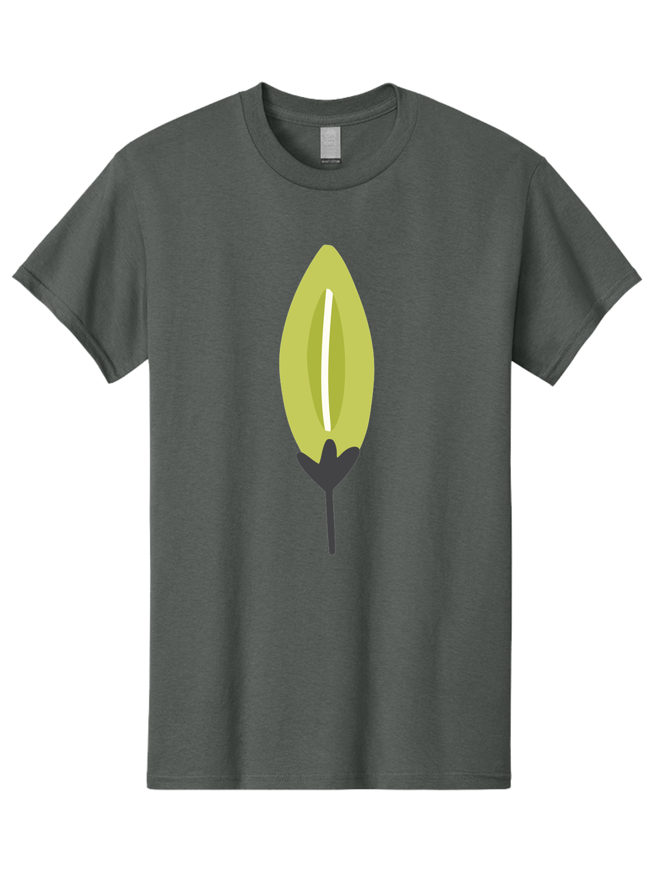 Cocoa-Pod Men'S Graphic Tee, 100% Cotton, Comfortable Casual Summer Wear, Machine Washable, Cocoa Pod, Chocolate, Digital Illustration, Simple Design, Botanical Art, Seed Pod, Vector Graphic, Minimalist Style Aad683