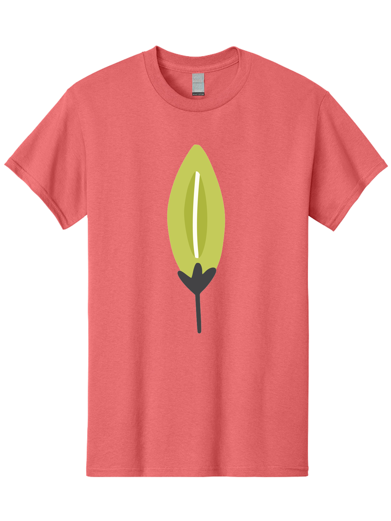 Cocoa-Pod Men'S Graphic Tee, 100% Cotton, Comfortable Casual Summer Wear, Machine Washable, Cocoa Pod, Chocolate, Digital Illustration, Simple Design, Botanical Art, Seed Pod, Vector Graphic, Minimalist Style Aad683