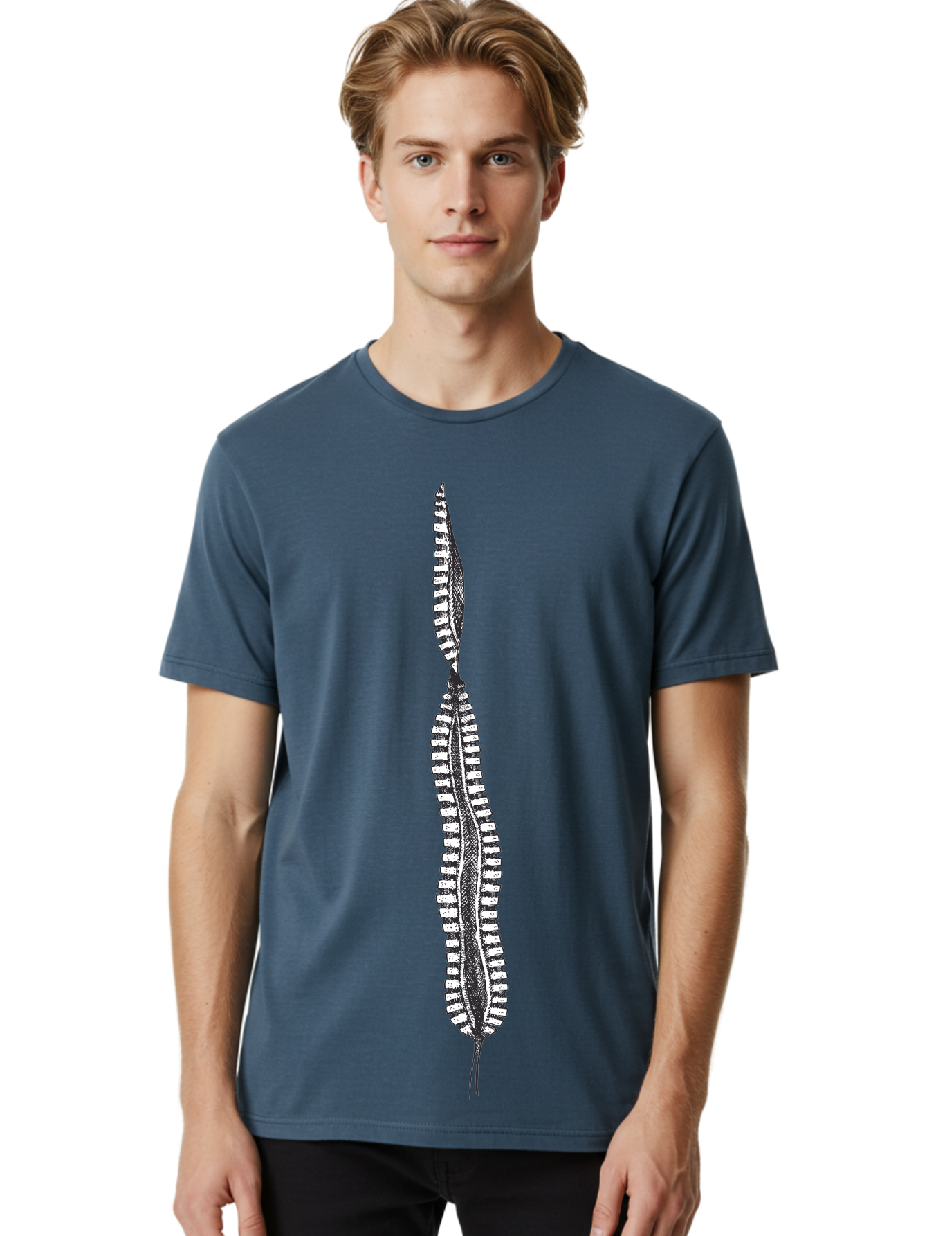 Feather-Silhouette Men'S Graphic Tee, 100% Cotton, Comfortable Casual Summer Wear, Machine Washable, Centipede, Black And White Illustration, Arthropod, Insect, Many Legs, Segmented Body, Detailed Drawing, Graphic Art, Insect Anatomy Aad700