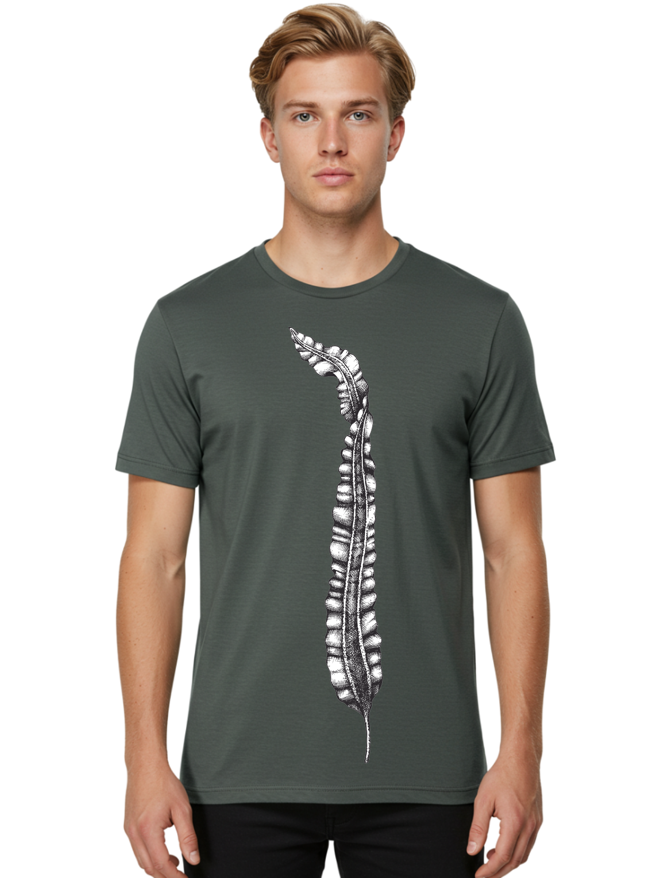 Paleodictyon Men'S Graphic Tee, 100% Cotton, Comfortable Casual Summer Wear, Machine Washable, Black And White Centipede, Detailed Illustration, Many Legs, Invertebrate Animal, Creepy Crawlers, Entomology Art, Detailed Drawing Aad727
