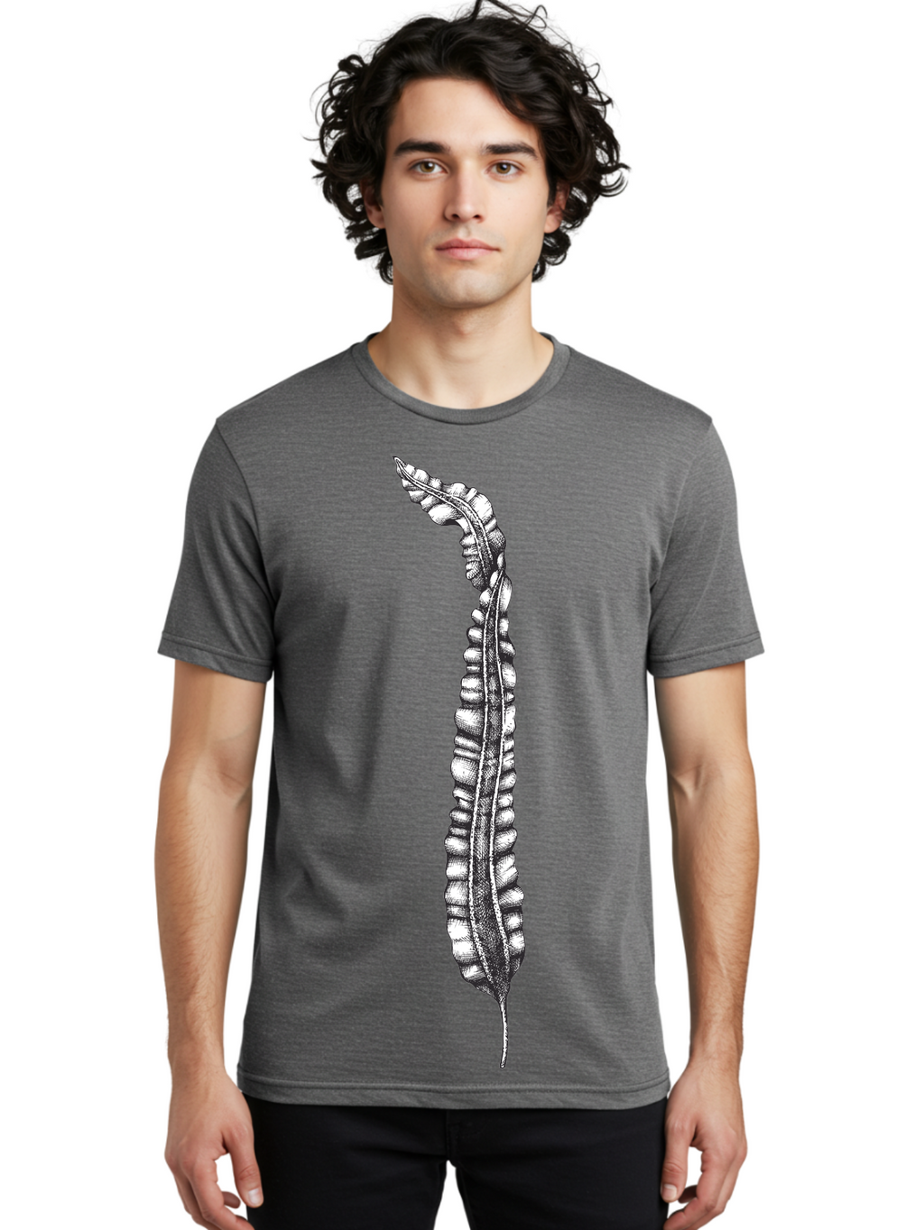 Paleodictyon Men'S Graphic Tee, 100% Cotton, Comfortable Casual Summer Wear, Machine Washable, Black And White Centipede, Detailed Illustration, Many Legs, Invertebrate Animal, Creepy Crawlers, Entomology Art, Detailed Drawing Aad727