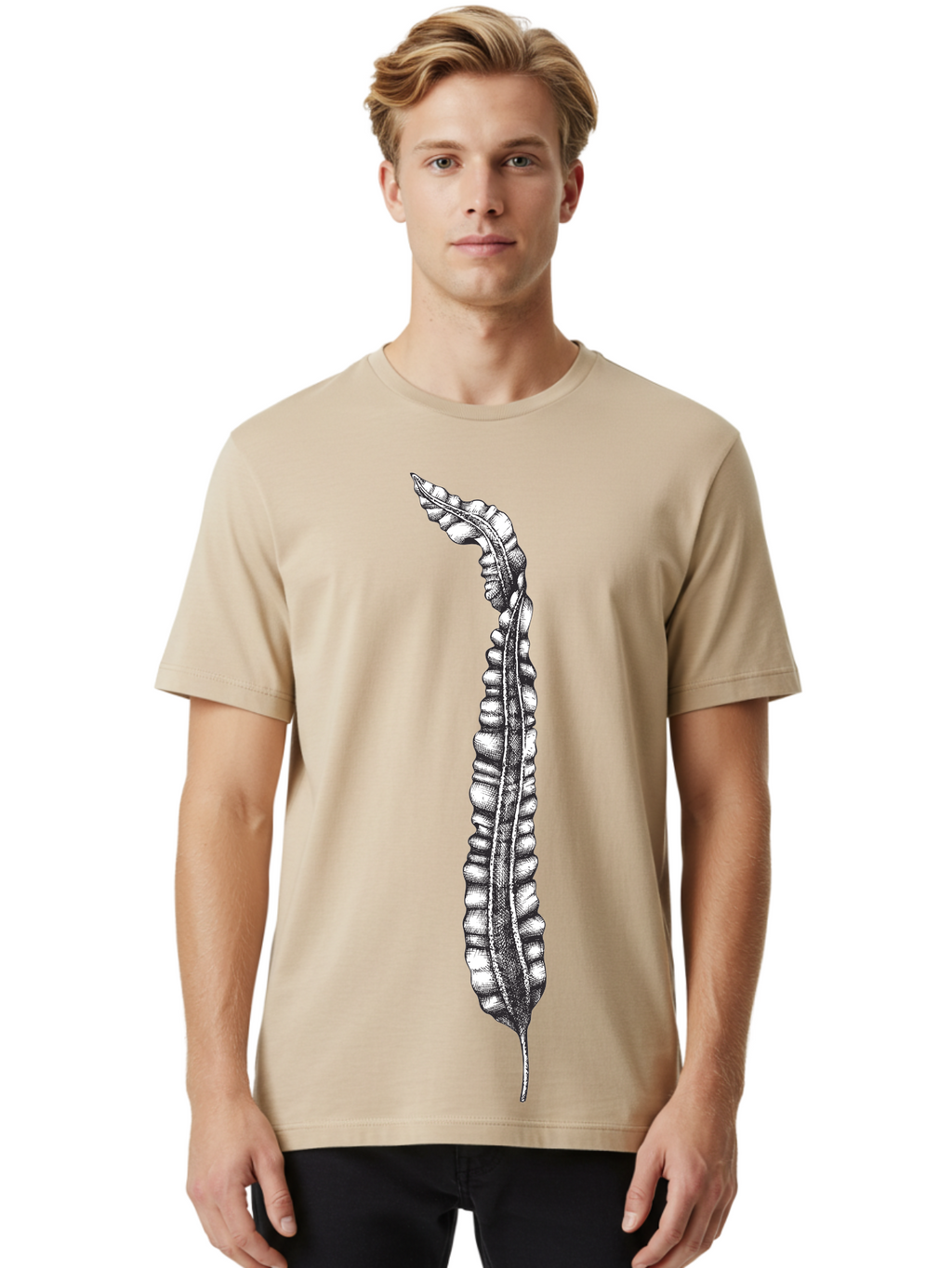 Paleodictyon Men'S Graphic Tee, 100% Cotton, Comfortable Casual Summer Wear, Machine Washable, Black And White Centipede, Detailed Illustration, Many Legs, Invertebrate Animal, Creepy Crawlers, Entomology Art, Detailed Drawing Aad727