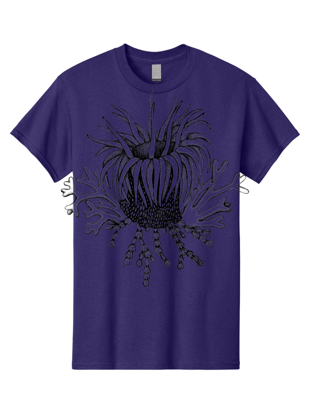 Sea-Anemone Men'S Graphic Tee, 100% Cotton, Comfortable Casual Summer Wear, Machine Washable, Sea Anemone, Marine Life, Ocean Creature, Underwater World, Coral Reef, Aquatic Animal, Tentacles, Black And Green Illustration, Botanical Art, Aad750