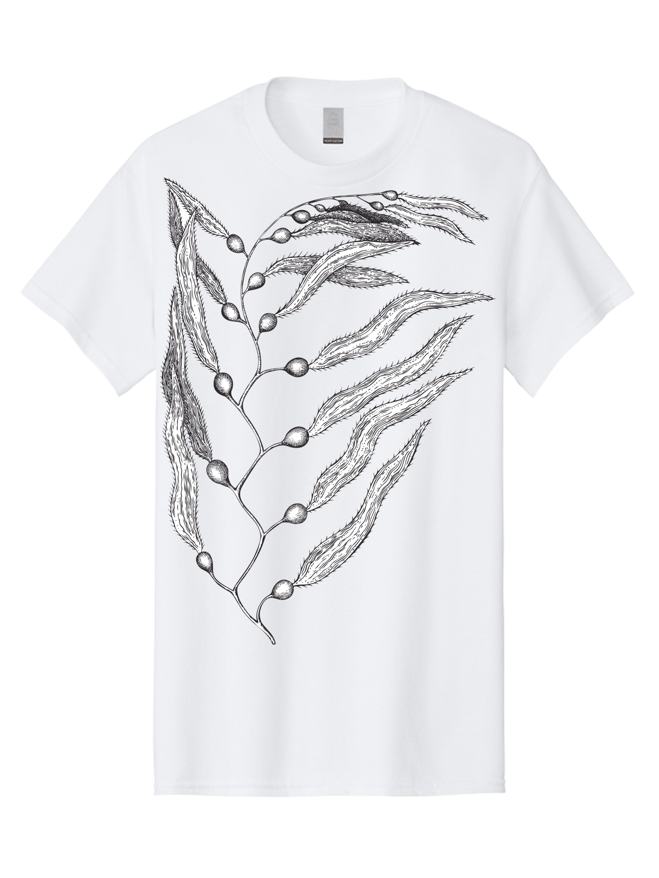 Seaweed Men'S Graphic Tee, 100% Cotton, Comfortable Casual Summer Wear, Machine Washable, Illustrated Branch With Leaves, Branch With Fruit, Foliage Illustration, Silver Leaves, Detailed Artwork, Botanical Illustration, Natural Elements, Aad754