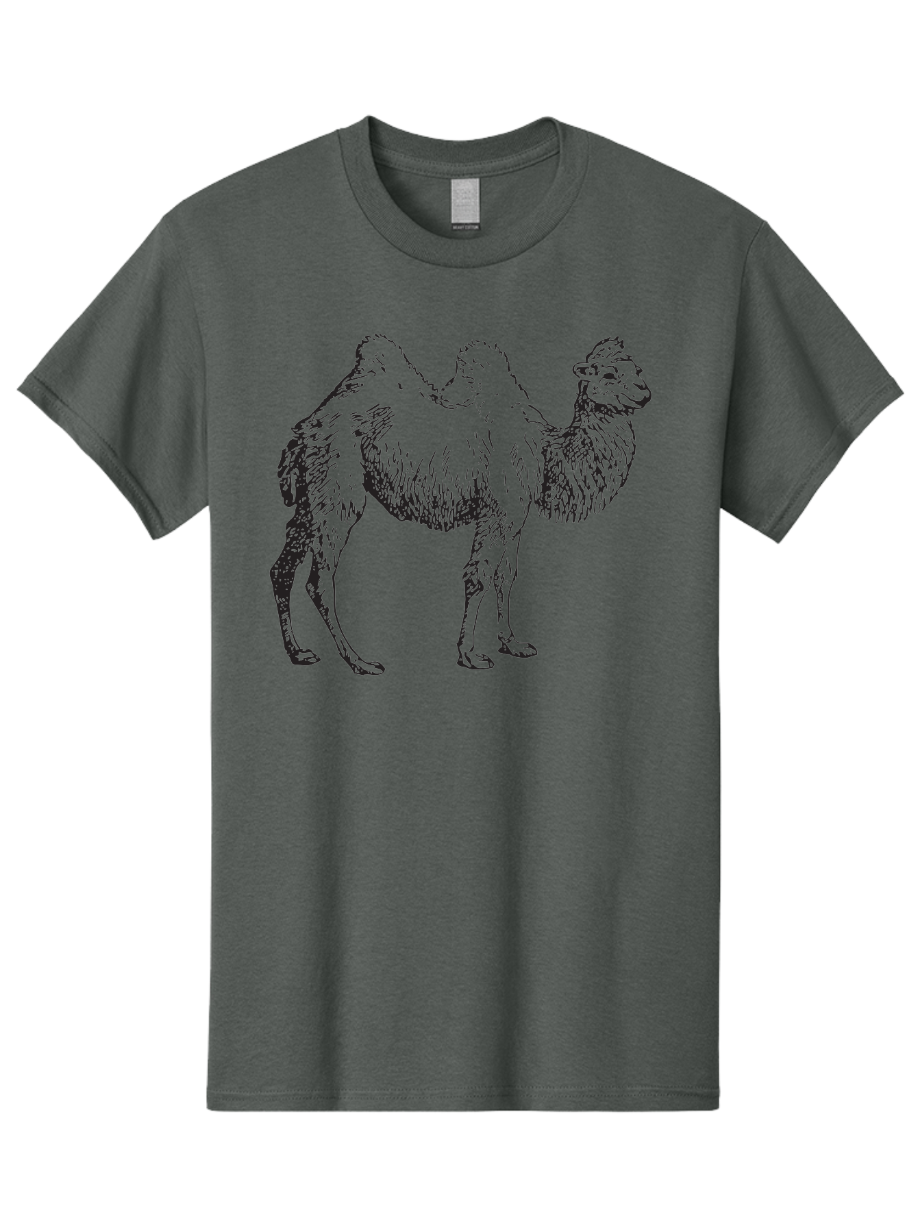 Bactrian-Camel Men'S Graphic Tee, 100% Cotton, Comfortable Casual Summer Wear, Machine Washable, Bactrian Camel, Double Hump Camel, Desert Animal, Exotic Creature, Wild Camel, Camel Illustration, Camel Drawing Aad846