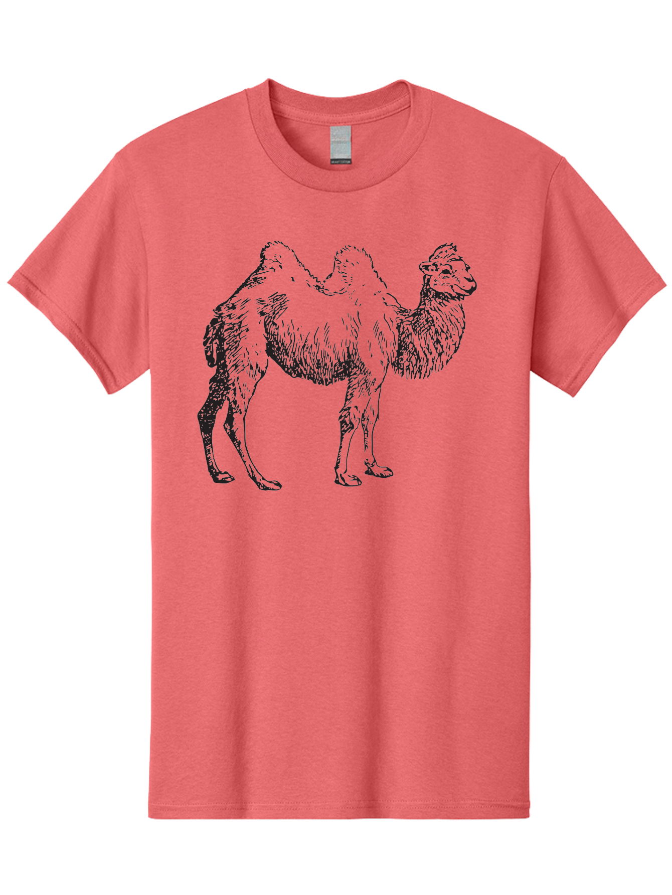 Bactrian-Camel Men'S Graphic Tee, 100% Cotton, Comfortable Casual Summer Wear, Machine Washable, Bactrian Camel, Double Hump Camel, Desert Animal, Exotic Creature, Wild Camel, Camel Illustration, Camel Drawing Aad846
