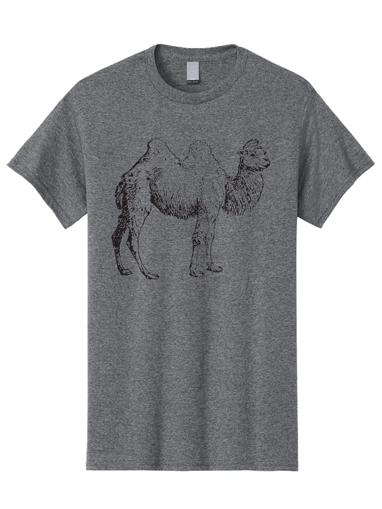 Bactrian-Camel Men'S Graphic Tee, 100% Cotton, Comfortable Casual Summer Wear, Machine Washable, Bactrian Camel, Double Hump Camel, Desert Animal, Exotic Creature, Wild Camel, Camel Illustration, Camel Drawing Aad846