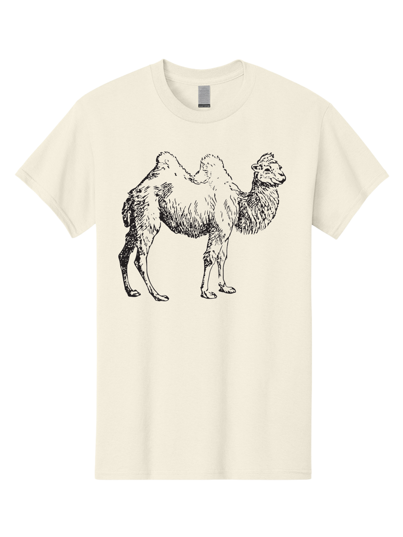 Bactrian-Camel Men'S Graphic Tee, 100% Cotton, Comfortable Casual Summer Wear, Machine Washable, Bactrian Camel, Double Hump Camel, Desert Animal, Exotic Creature, Wild Camel, Camel Illustration, Camel Drawing Aad846