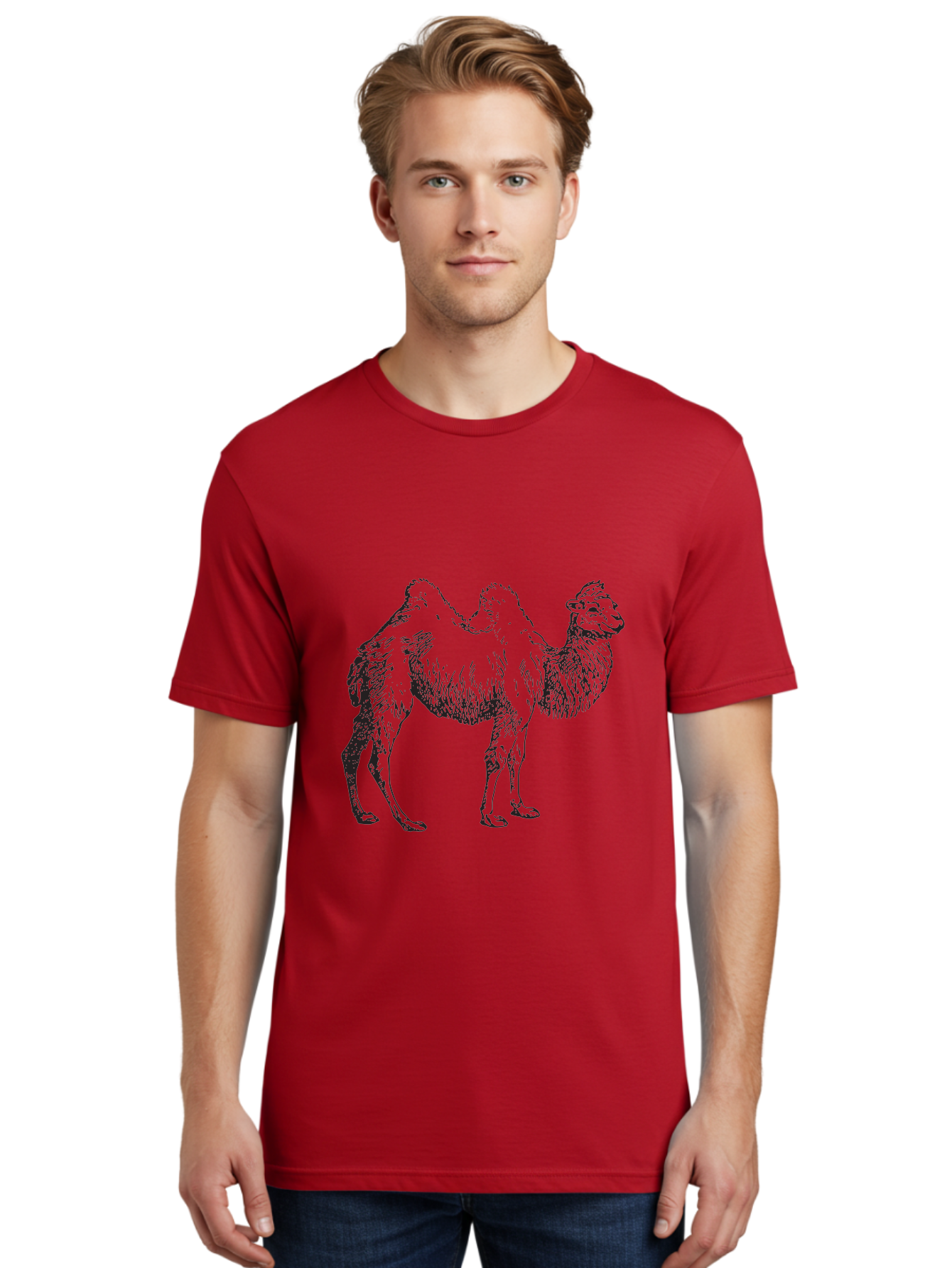 Bactrian-Camel Men'S Graphic Tee, 100% Cotton, Comfortable Casual Summer Wear, Machine Washable, Bactrian Camel, Double Hump Camel, Desert Animal, Exotic Creature, Wild Camel, Camel Illustration, Camel Drawing Aad846