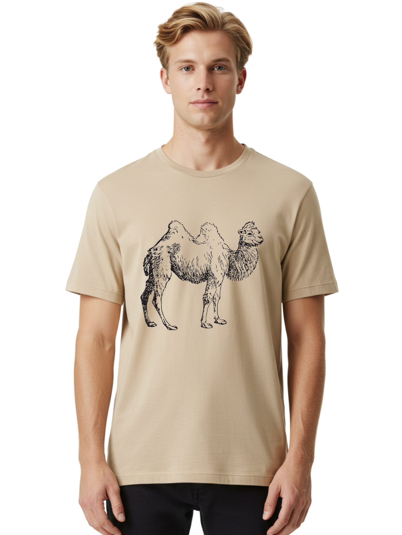 Bactrian-Camel Men'S Graphic Tee, 100% Cotton, Comfortable Casual Summer Wear, Machine Washable, Bactrian Camel, Double Hump Camel, Desert Animal, Exotic Creature, Wild Camel, Camel Illustration, Camel Drawing Aad846