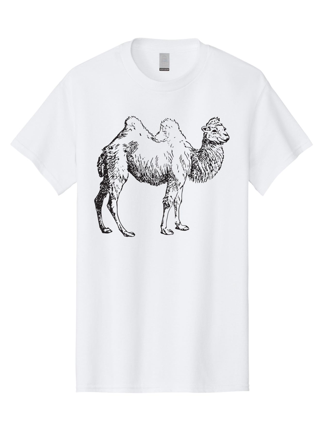 Bactrian-Camel Men'S Graphic Tee, 100% Cotton, Comfortable Casual Summer Wear, Machine Washable, Bactrian Camel, Double Hump Camel, Desert Animal, Exotic Creature, Wild Camel, Camel Illustration, Camel Drawing Aad846