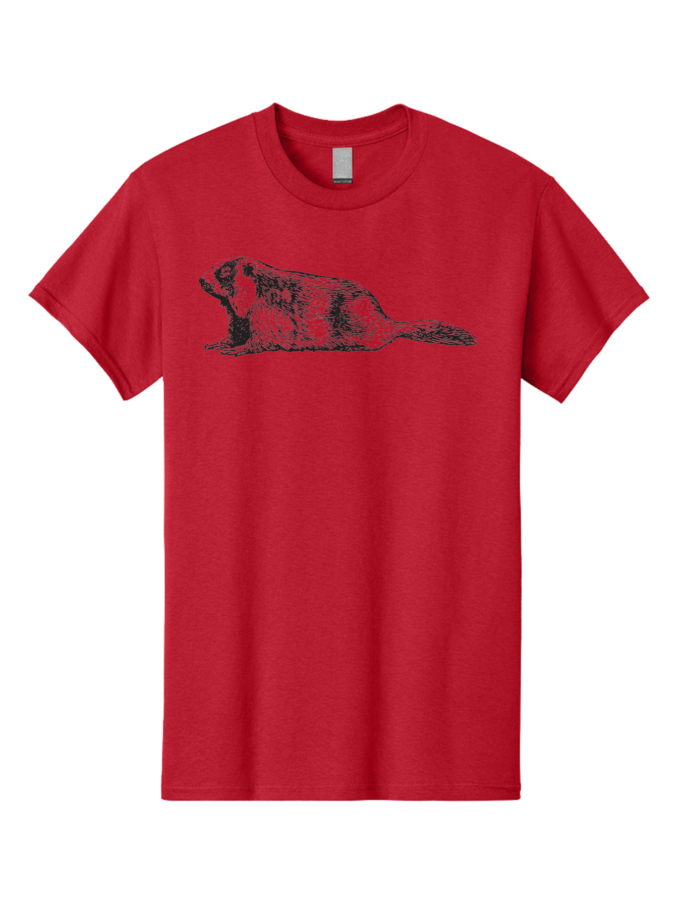 Beaver Men'S Graphic Tee, 100% Cotton, Comfortable Casual Summer Wear, Machine Washable, Beaver Illustration, Rodent Artwork, Wildlife Drawing, Black And White Animal, Sketchy Texture, Furry Creature, Aquatic Mammal, Engraving Style, Aad850