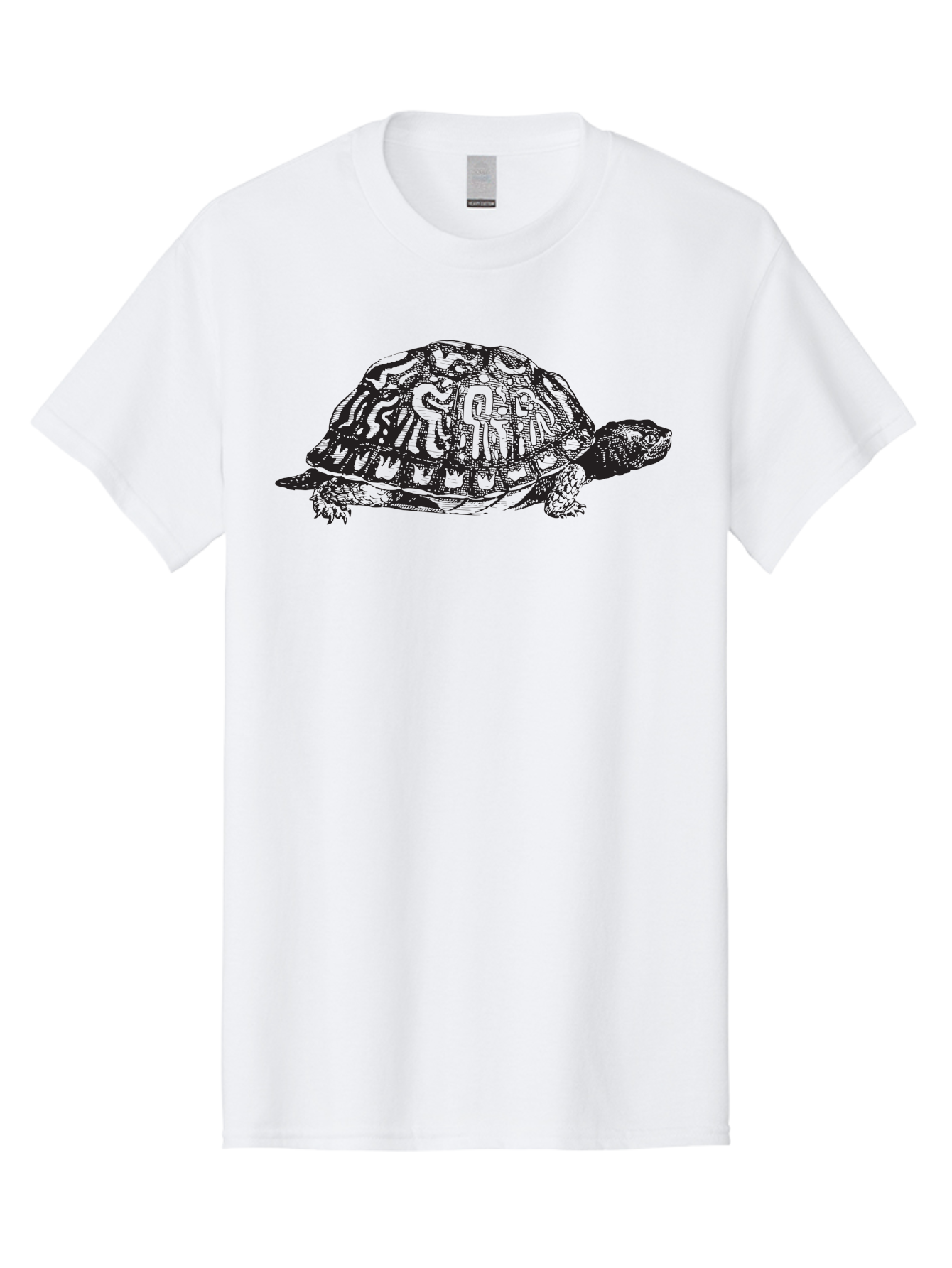 Box-Turtle Men'S Graphic Tee, 100% Cotton, Comfortable Casual Summer Wear, Machine Washable, Turtle Illustration, Reptile Art, Shell Pattern, Wildlife Graphic, Slow-Moving Creature, Nature-Inspired Design, Abstract Animal Art, Detailed Texture Aad858