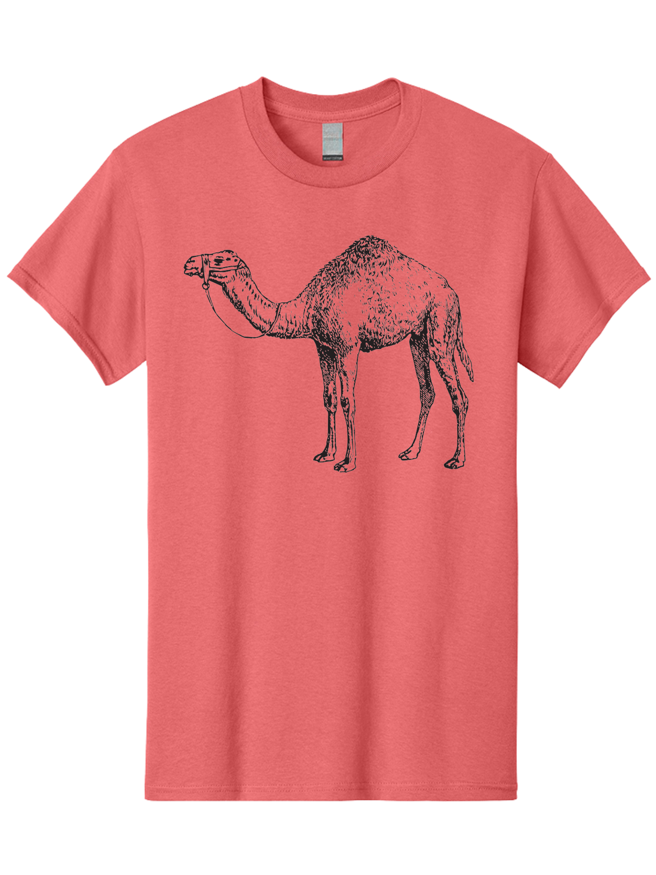 Camel Men'S Graphic Tee, 100% Cotton, Comfortable Casual Summer Wear, Machine Washable, Camel Illustration, Desert Animal, Wildlife Artwork, Camel Silhouette, Graphic Design, Illustration Art, Animal Drawing, Camel Graphic Aad861