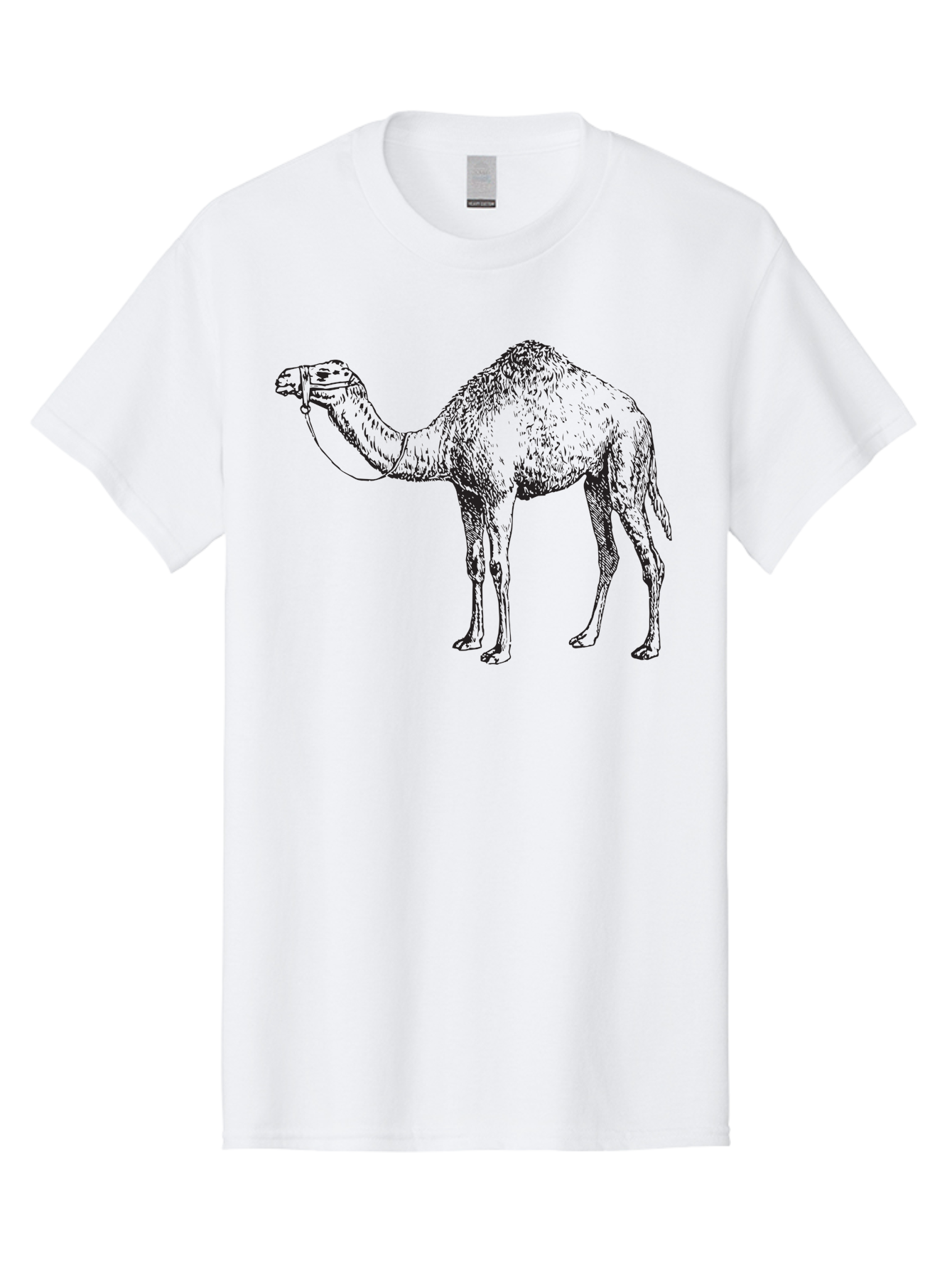 Camel Men'S Graphic Tee, 100% Cotton, Comfortable Casual Summer Wear, Machine Washable, Camel Illustration, Desert Animal, Wildlife Artwork, Camel Silhouette, Graphic Design, Illustration Art, Animal Drawing, Camel Graphic Aad861