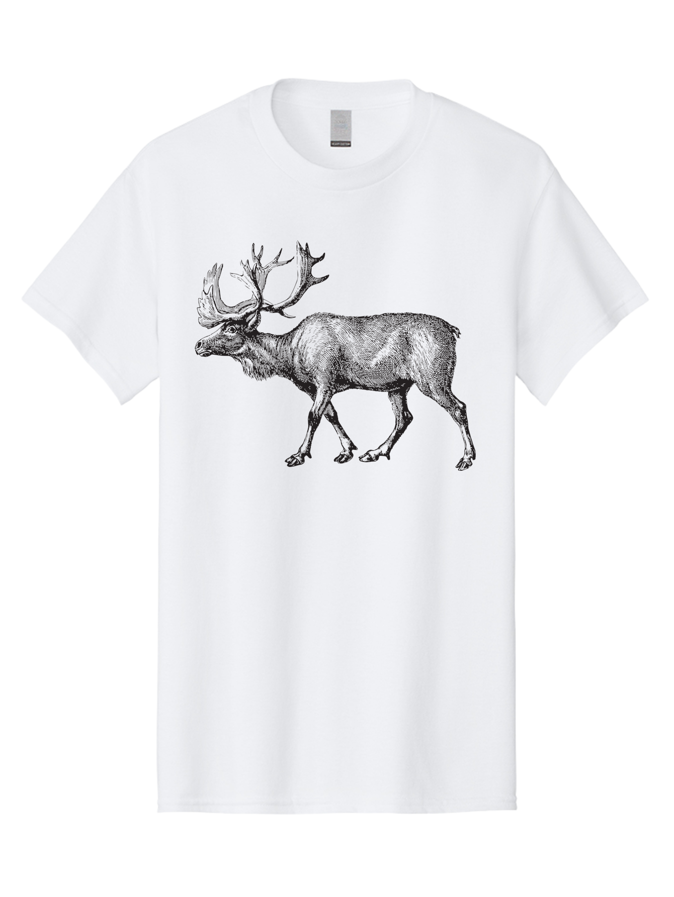 Caribou Men'S Graphic Tee, 100% Cotton, Comfortable Casual Summer Wear, Machine Washable, Illustration Of A Caribou, Wildlife Art, Detailed Drawing, Antlers, Animal Portrait, Outdoor Enthusiasts, Nature Lovers, Graphic Design Aad862