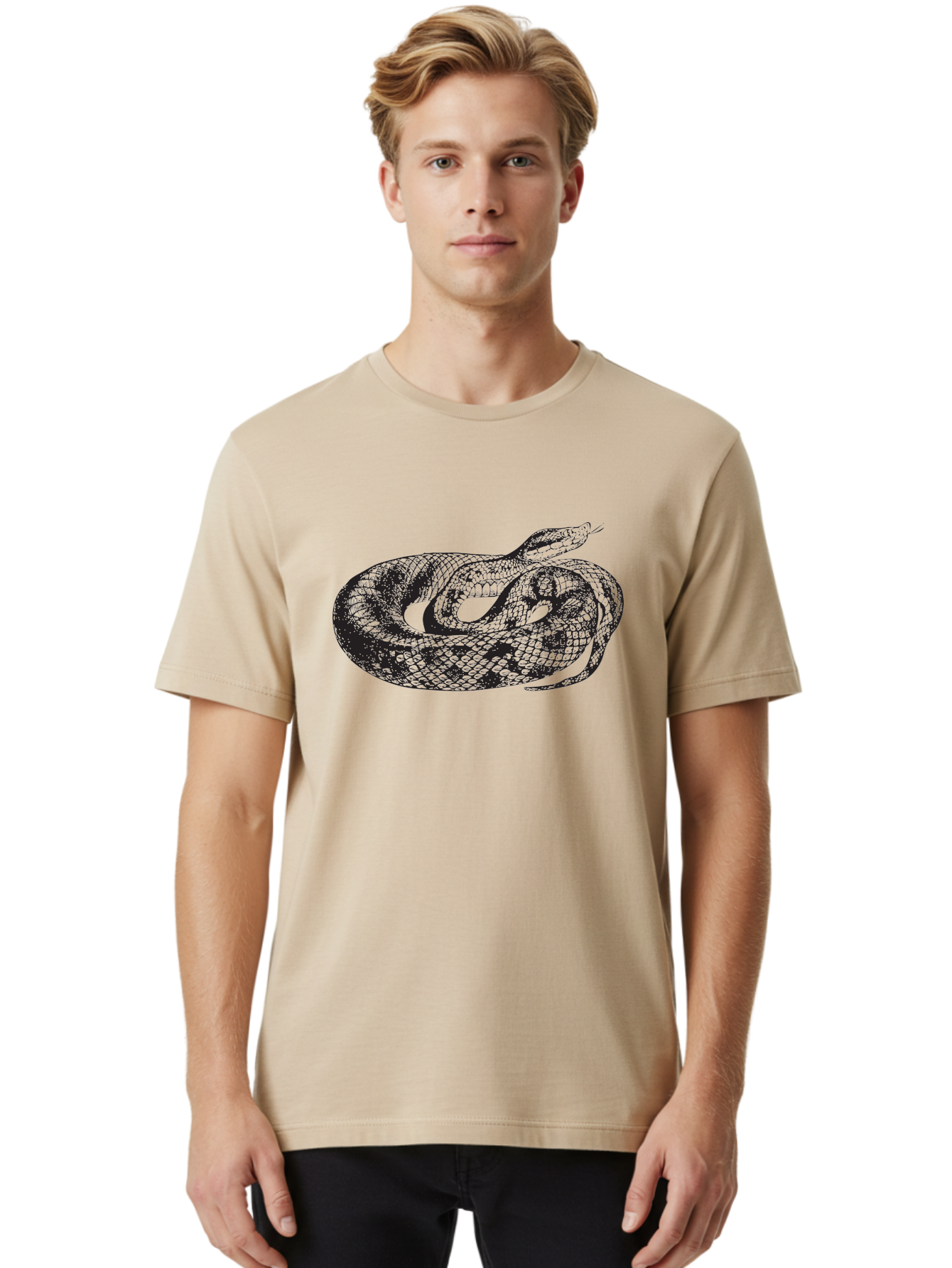 Coiled-Snake-1 Men'S Graphic Tee, 100% Cotton, Comfortable Casual Summer Wear, Machine Washable, Snake Illustration, Coiled Snake, Reptile Art, Wildlife Design, Snake Head, Forked Tongue, Detailed Scales, Black And Green Aad868